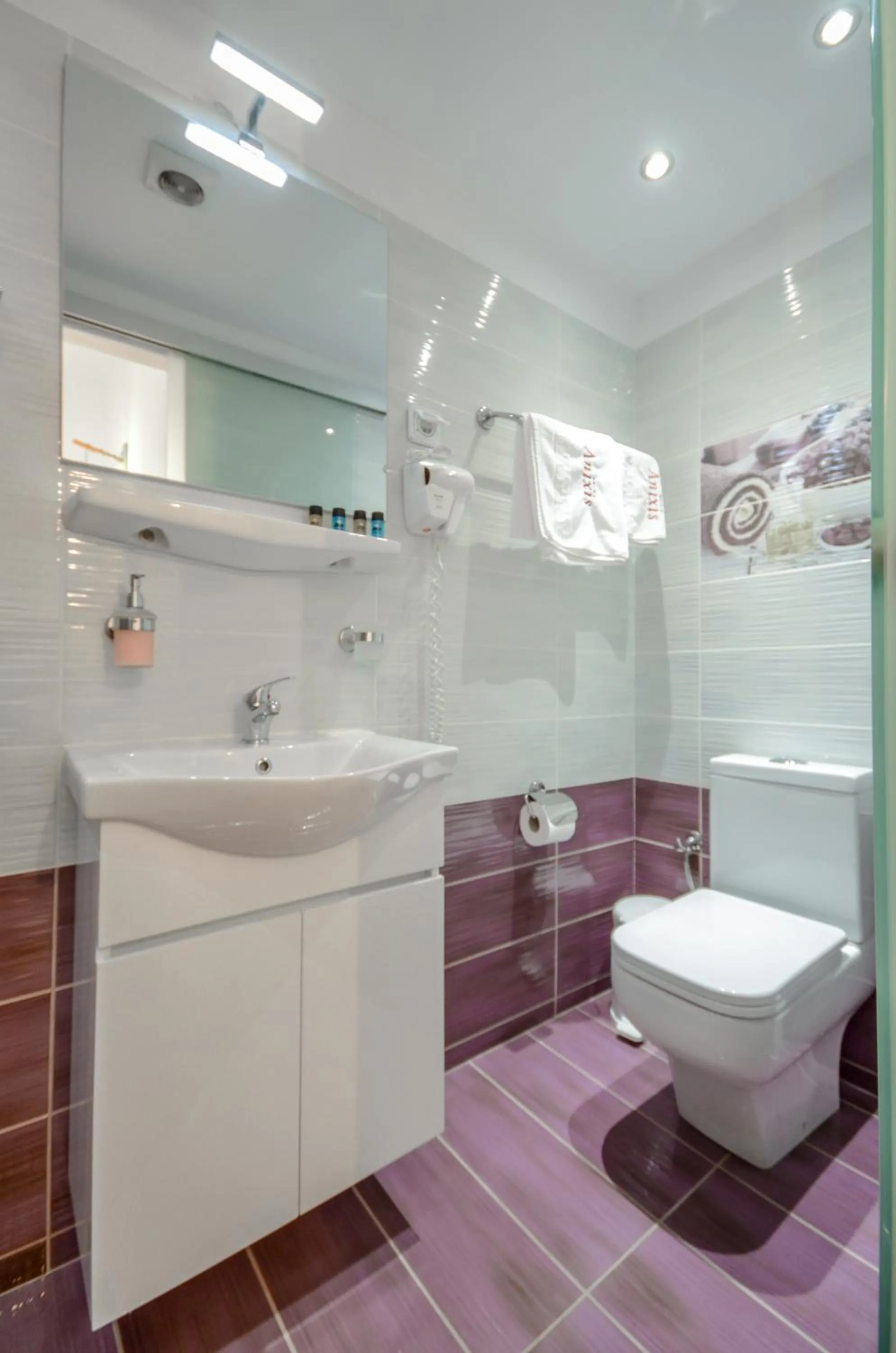 Bathroom in Hotel Anixis