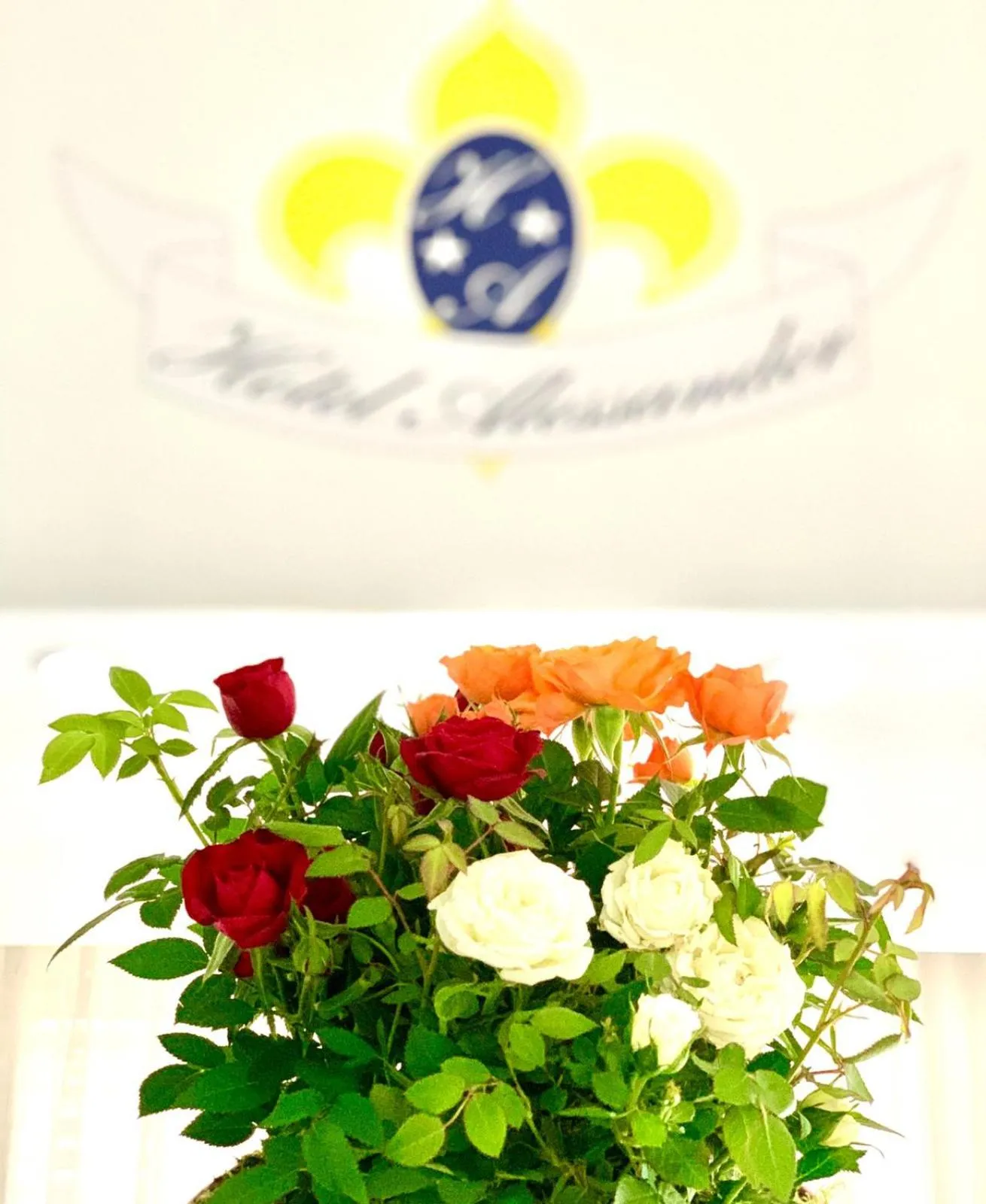 Property logo or sign in Hotel Alessander