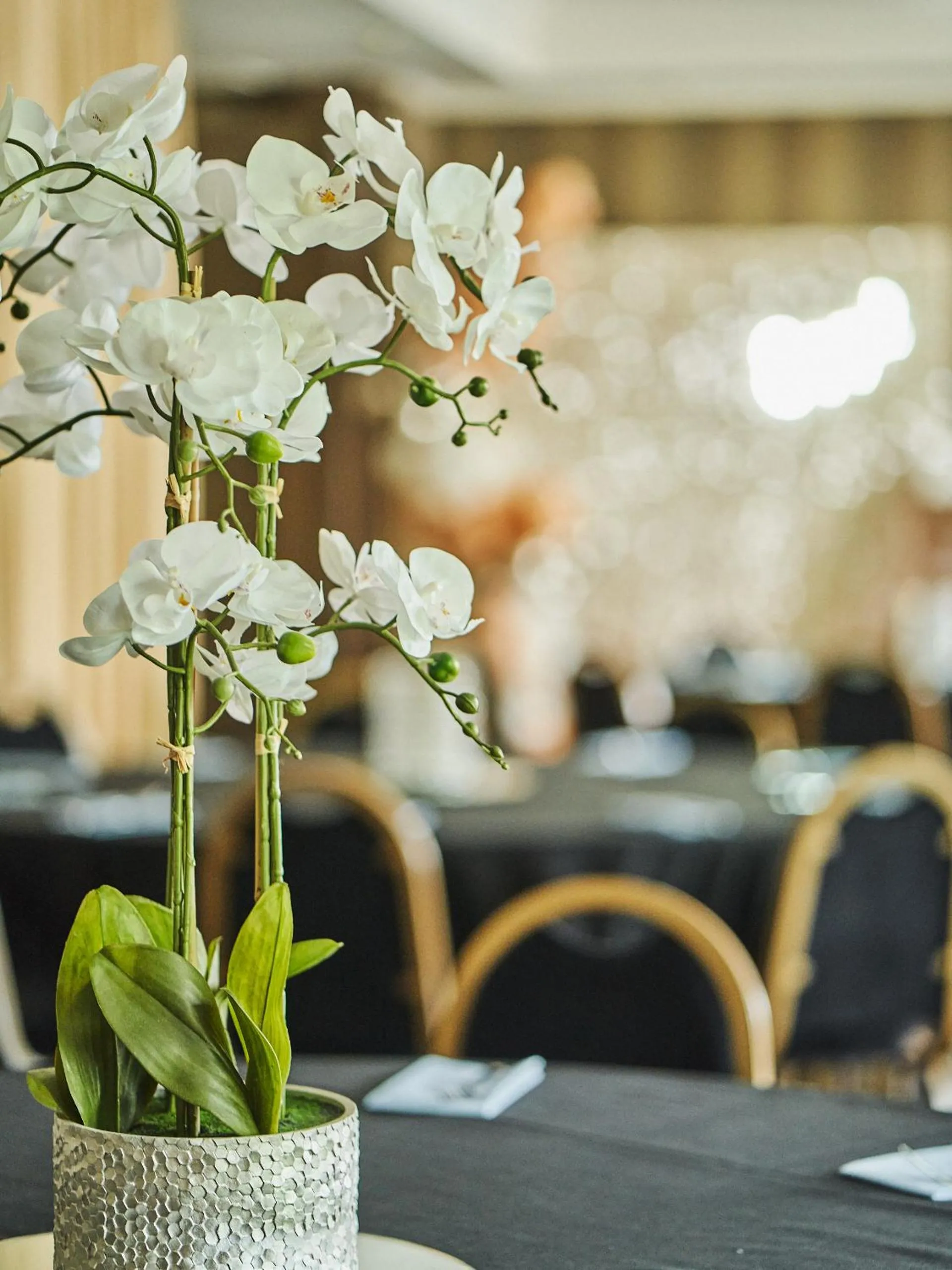 Banquet/Function facilities in The Cults Hotel