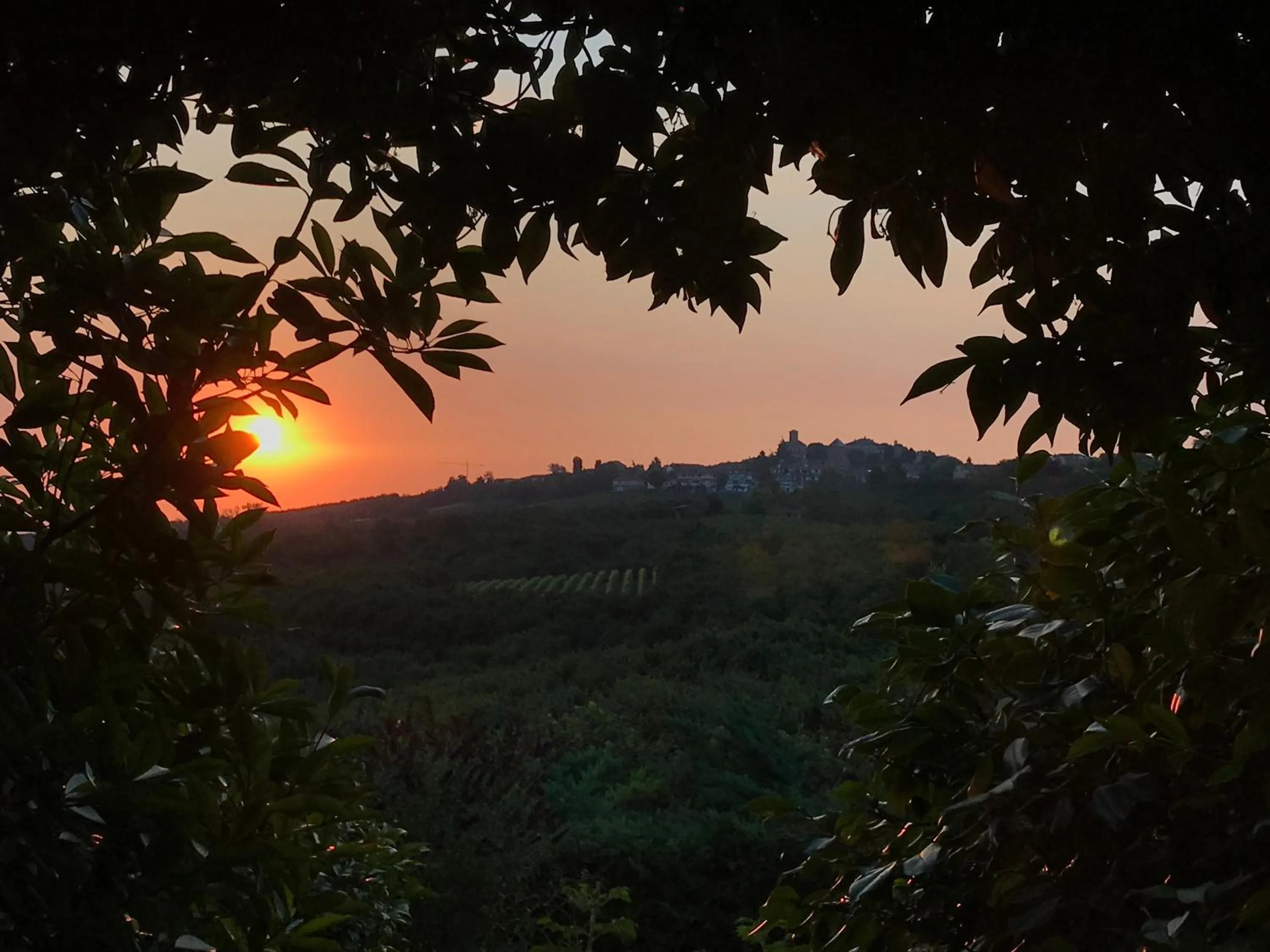 Natural landscape in Villa Bricco dei Cogni