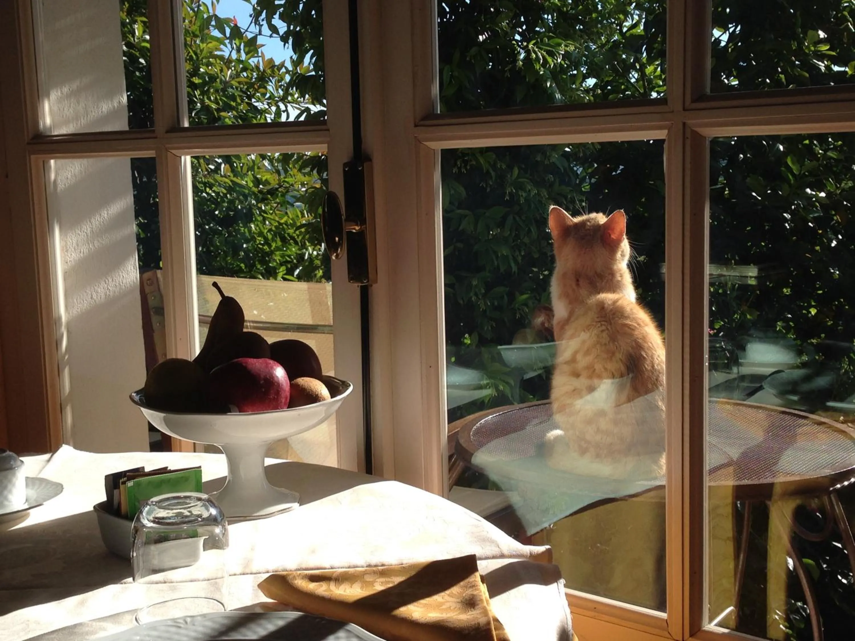 Dining area in Villa Bricco dei Cogni