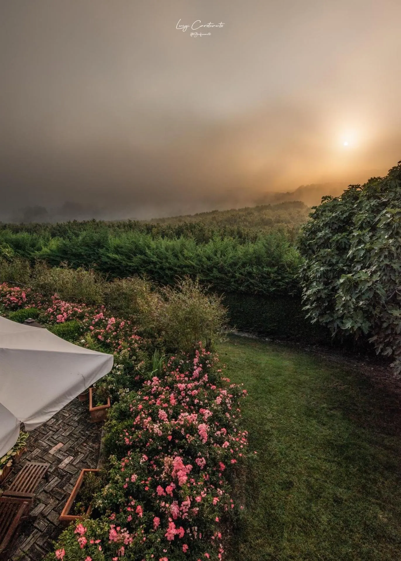 Natural landscape in Villa Bricco dei Cogni