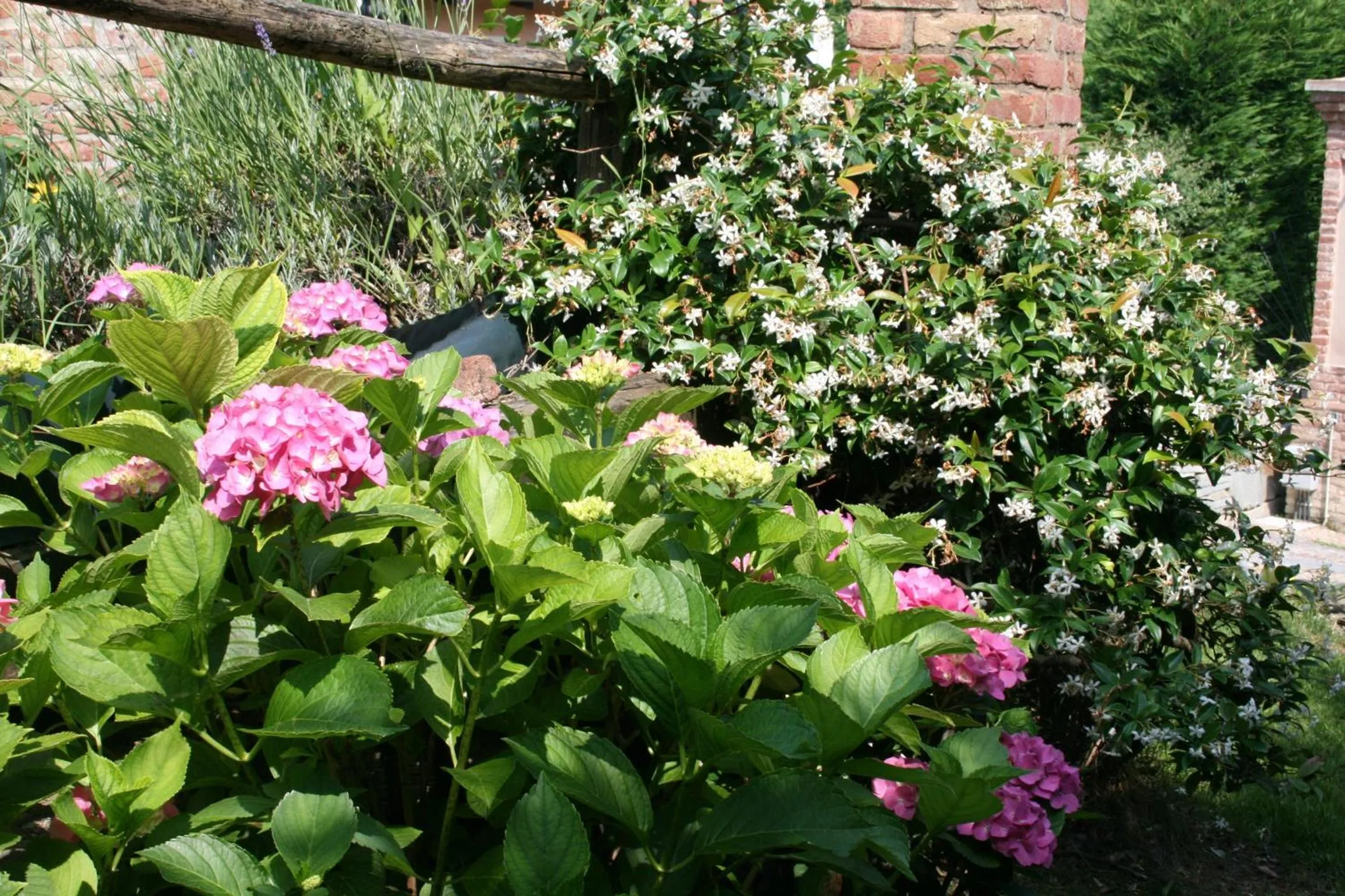 Garden in Villa Bricco dei Cogni