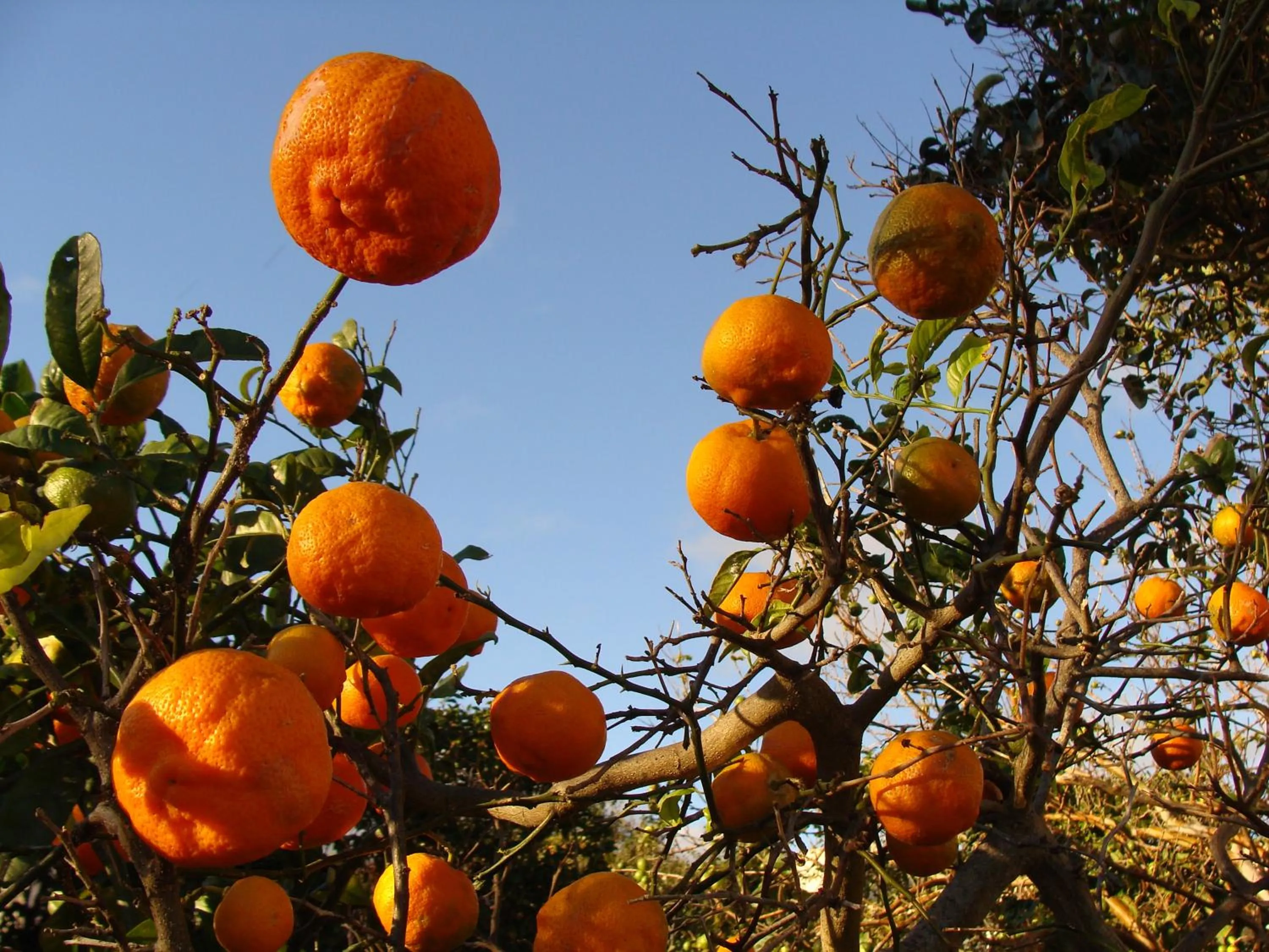 Facade/entrance in Hospedaria Verdemar