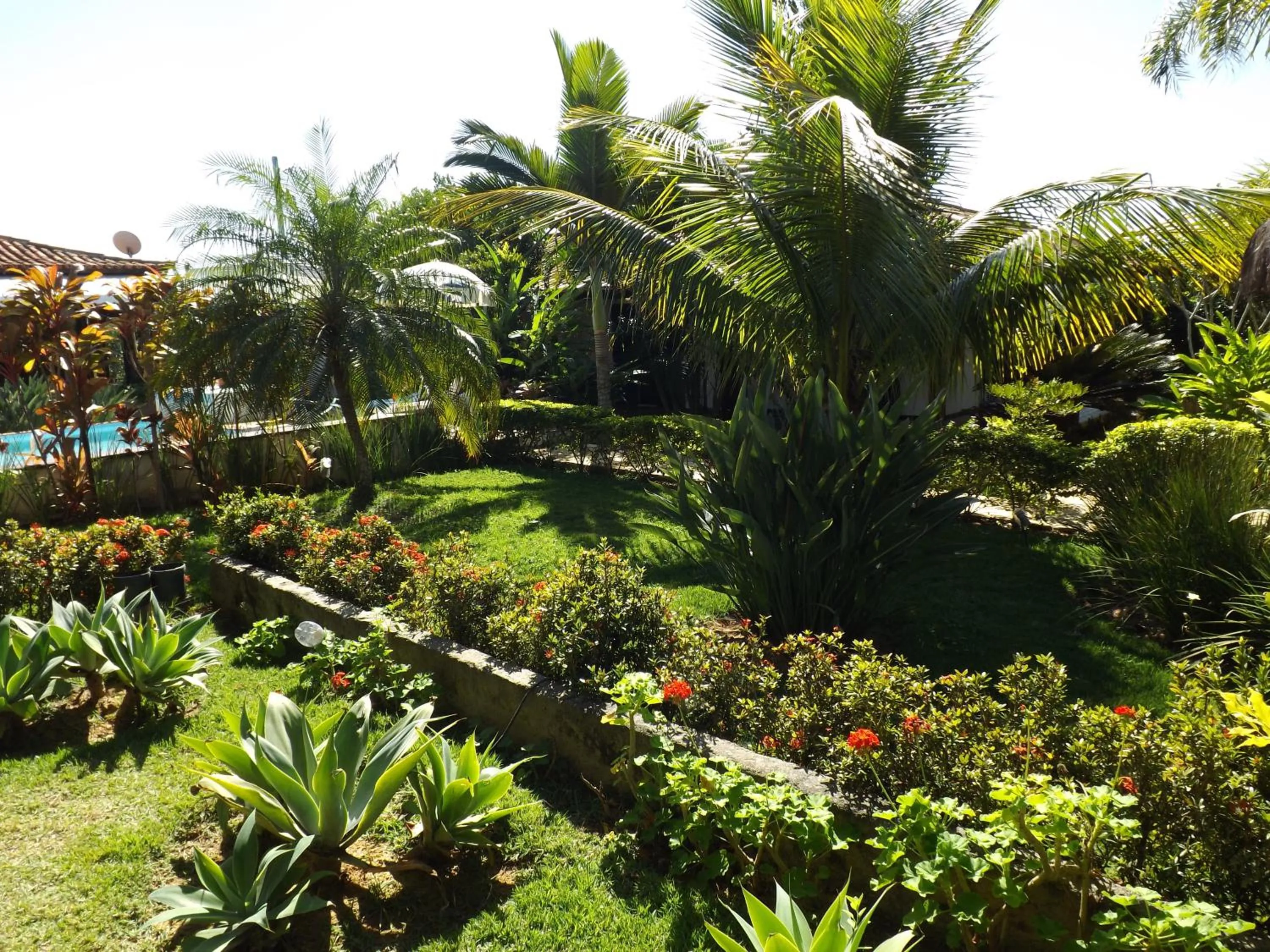 Garden in Pousada Solar Dos Corais