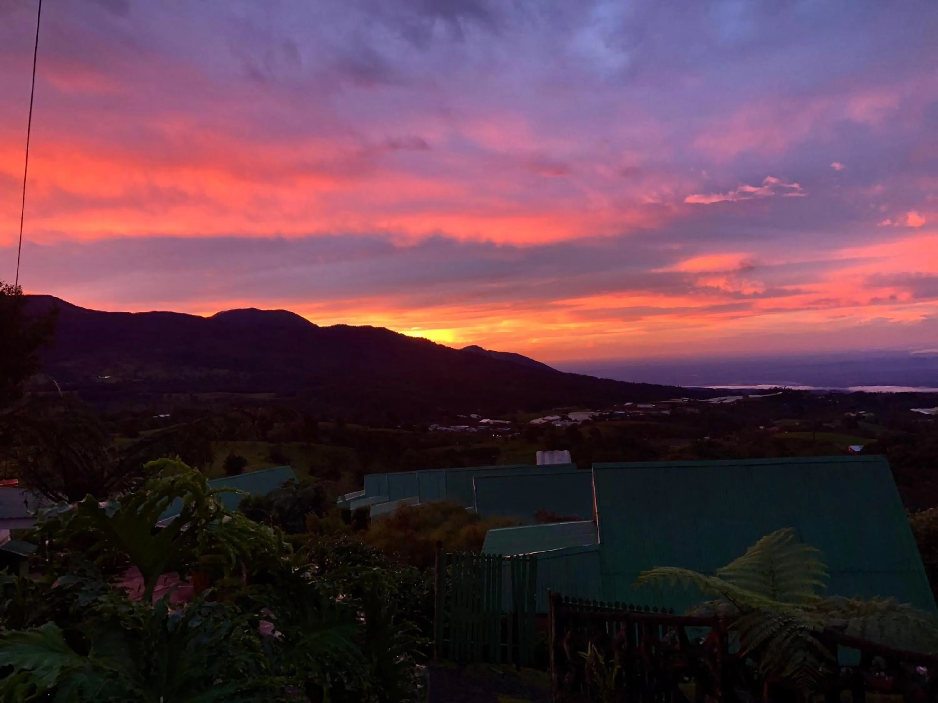 Hortensias Chalets Vara blanca