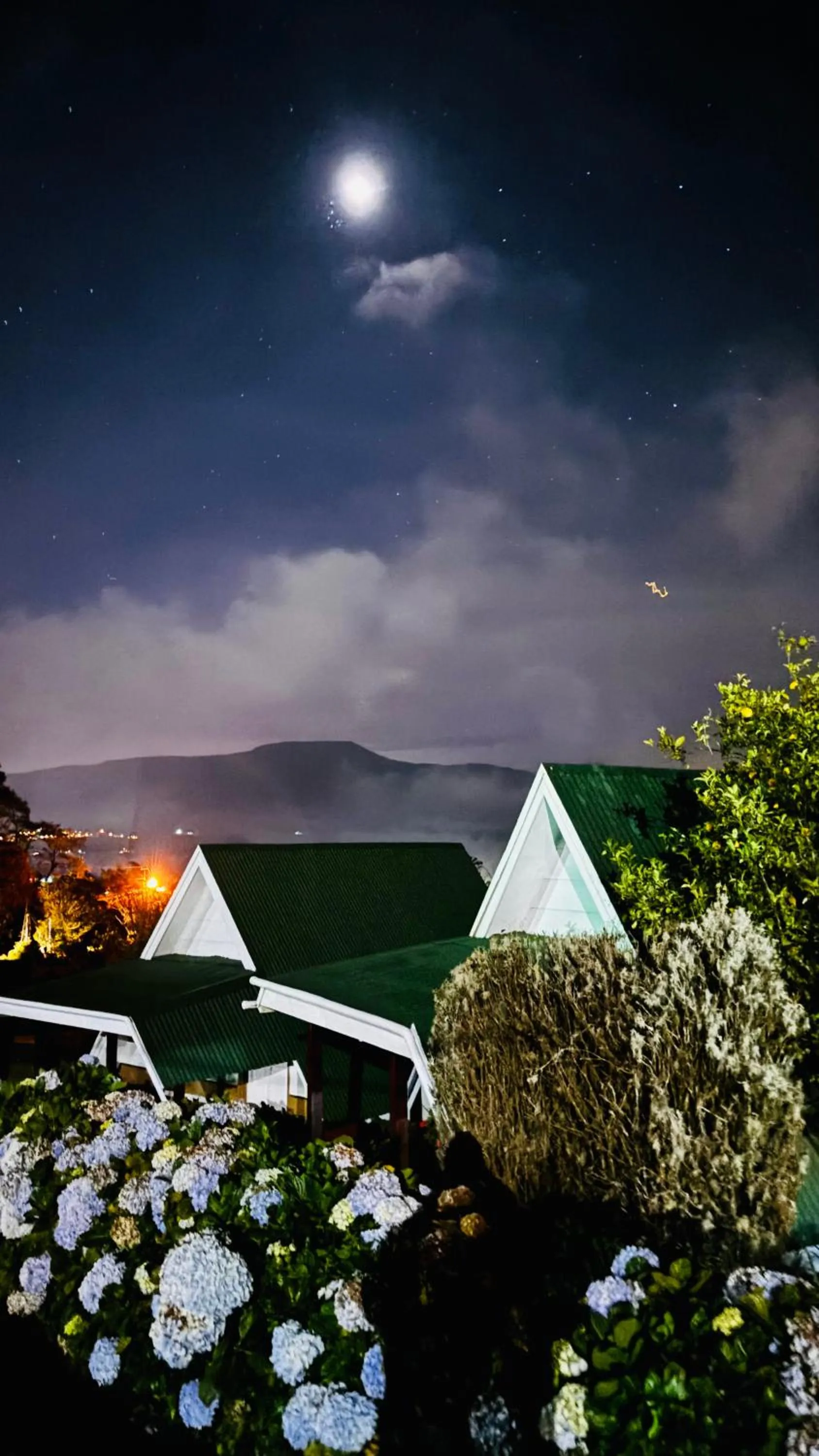 Hortensias Chalets Vara blanca