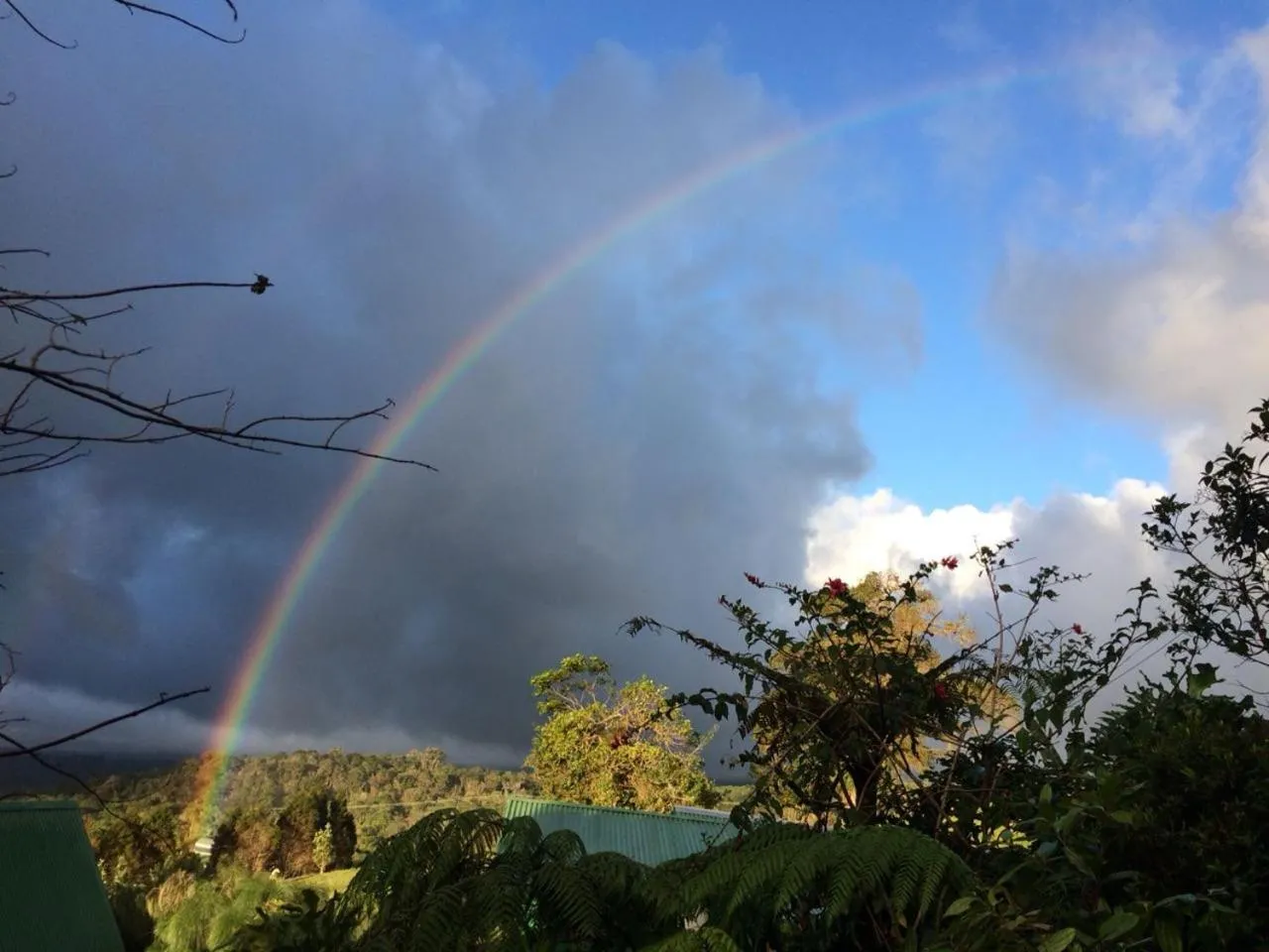 Hortensias Chalets Vara blanca