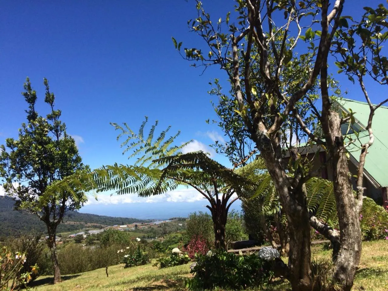 Hortensias Chalets Vara blanca