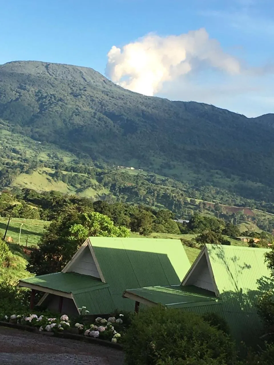 Hortensias Chalets Vara blanca