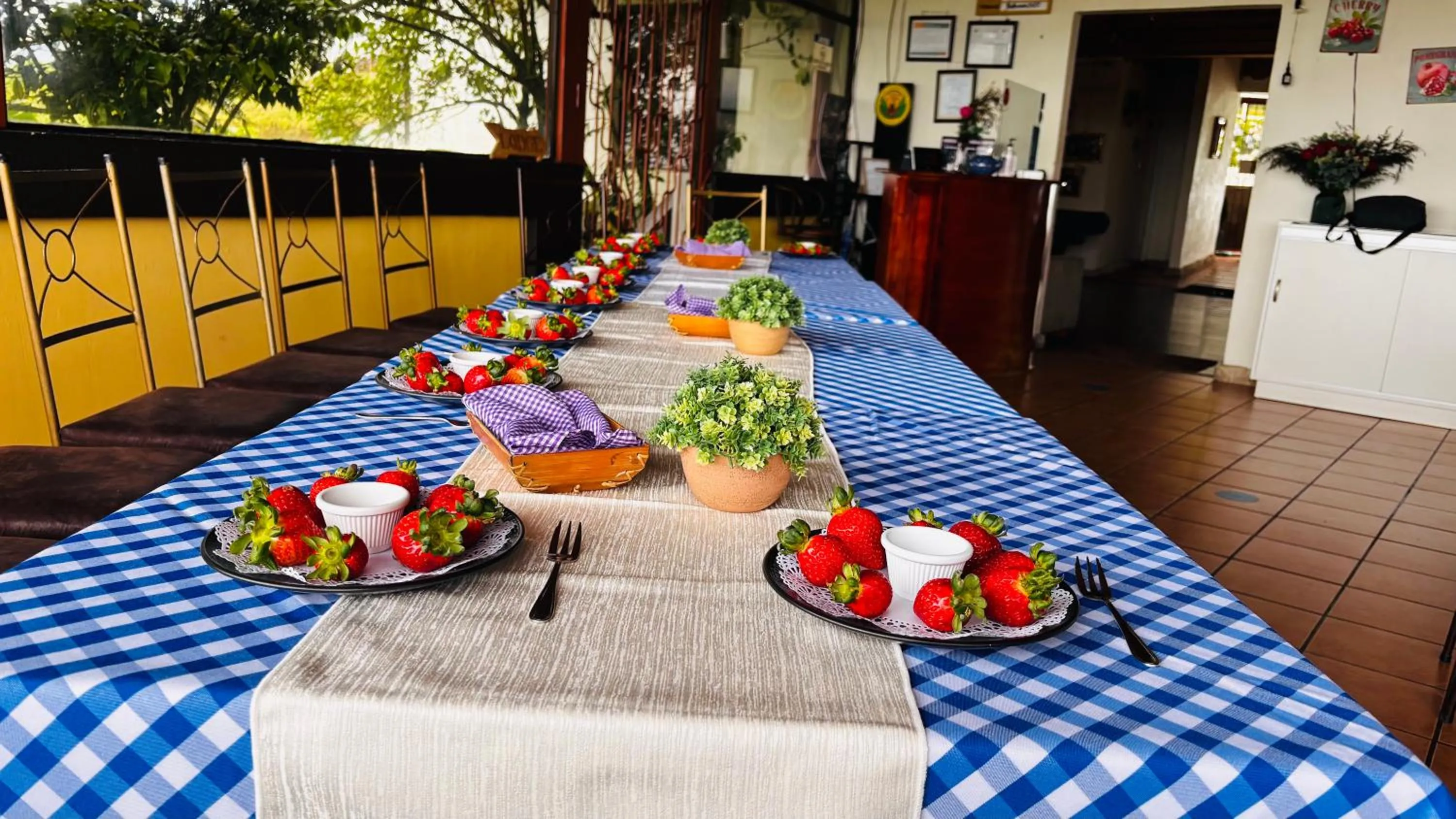 Hortensias Chalets Vara blanca