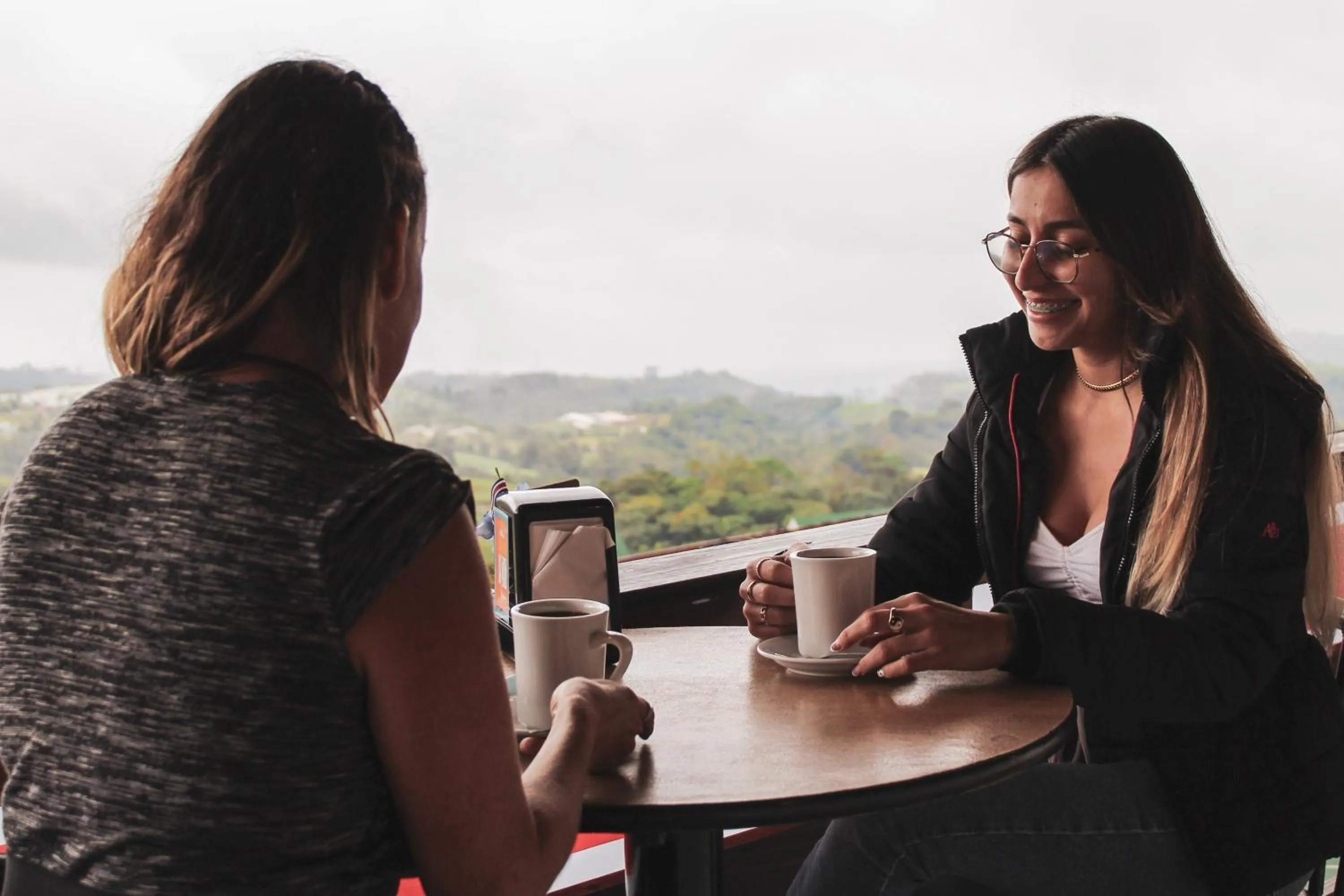 Hortensias Chalets Vara blanca