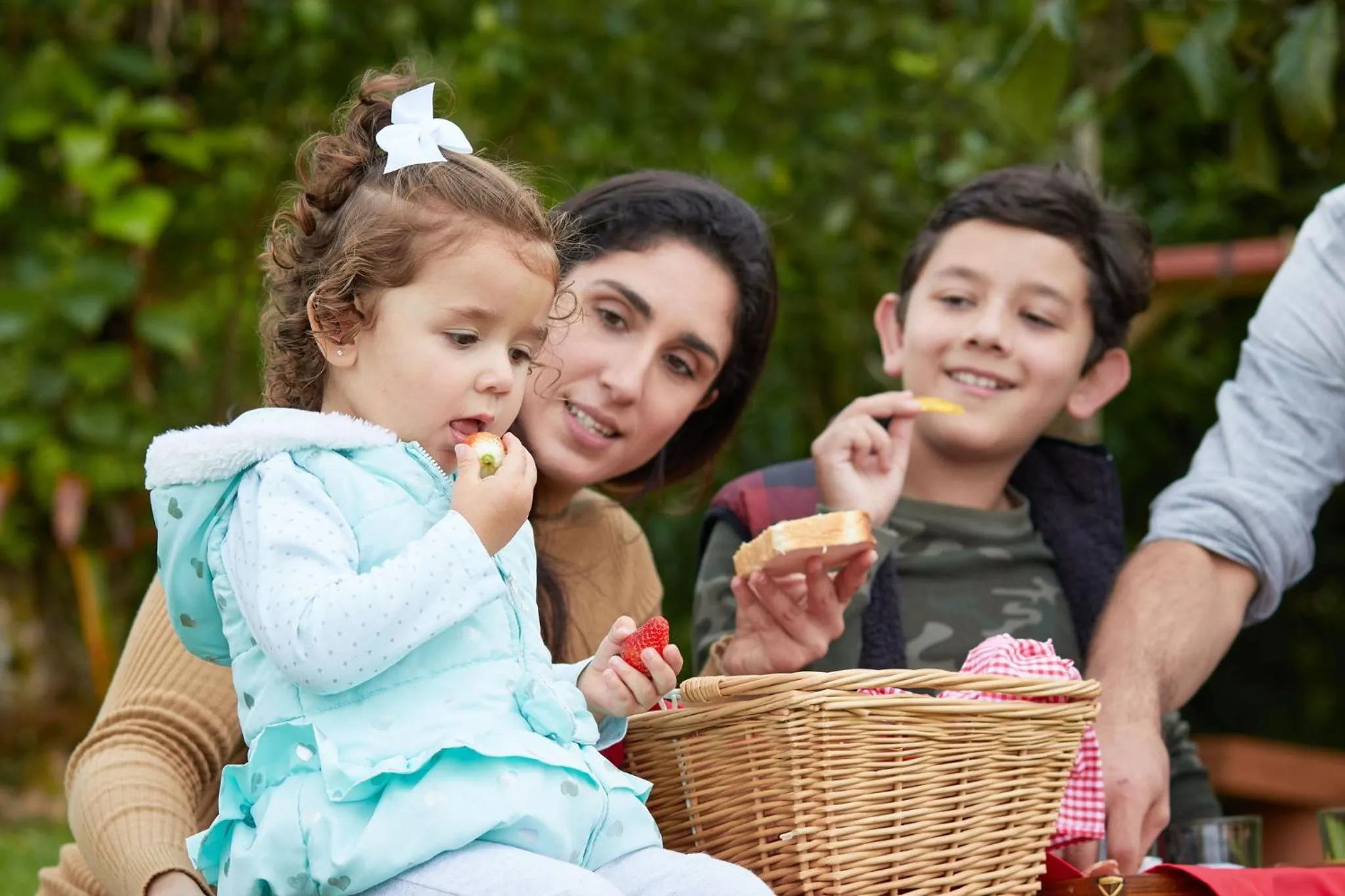Hortensias Chalets Vara blanca