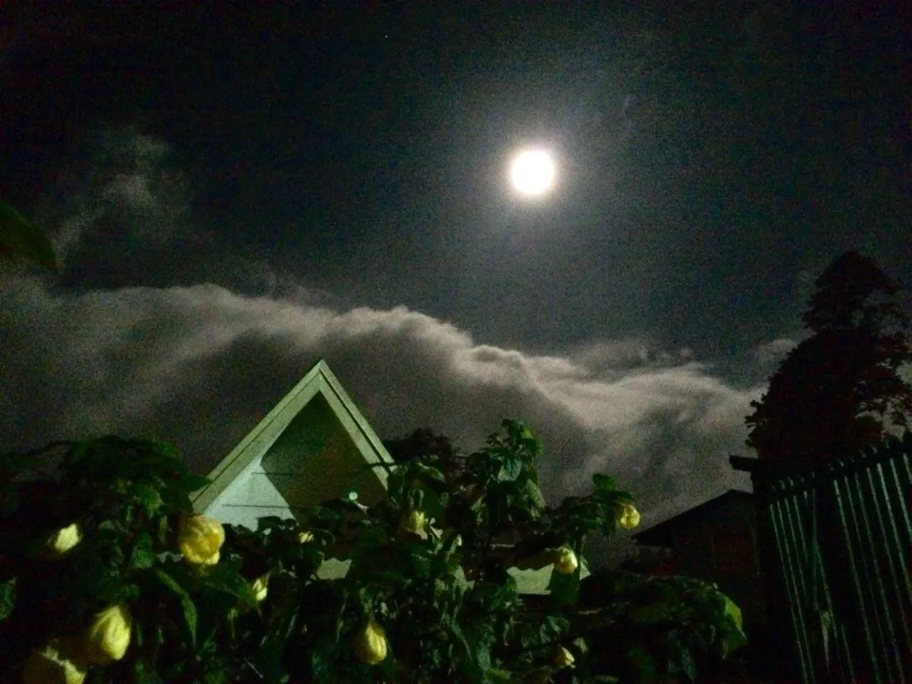 Hortensias Chalets Vara blanca
