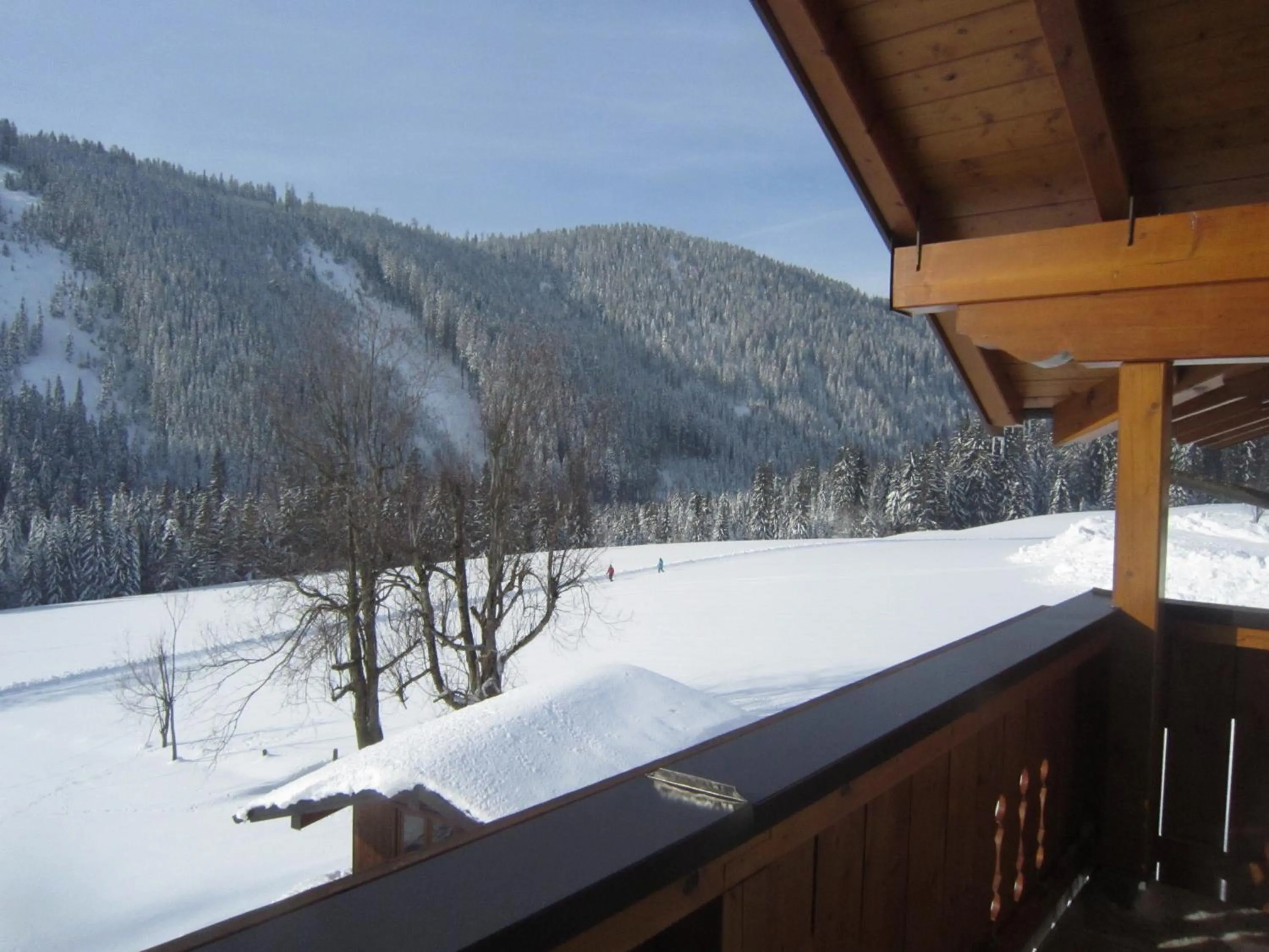 Balcony/Terrace in Ferienwohnung Mützengruß