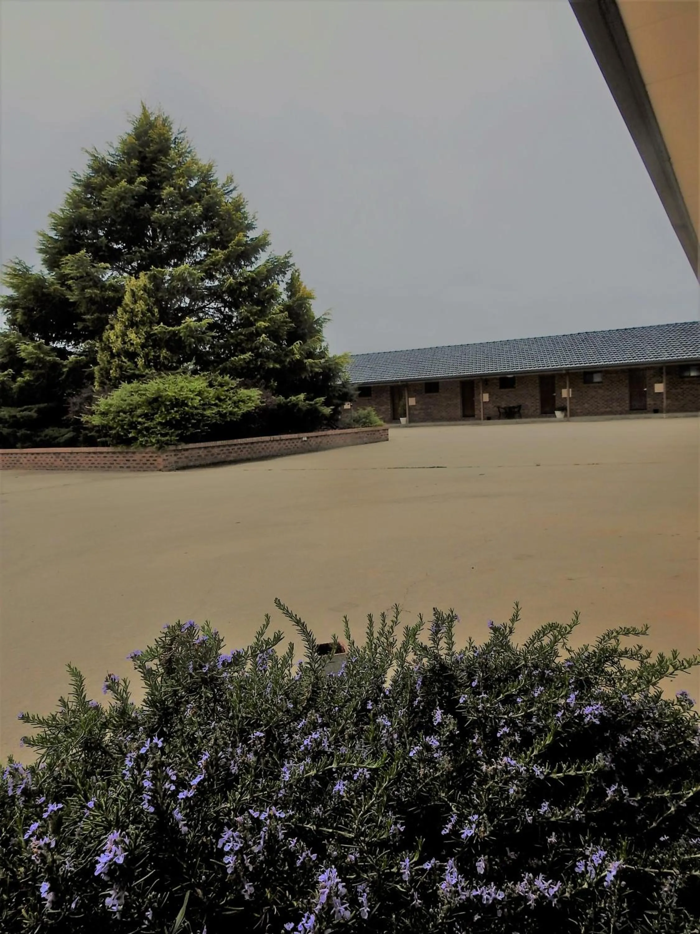 Property building in Big Trout Motel