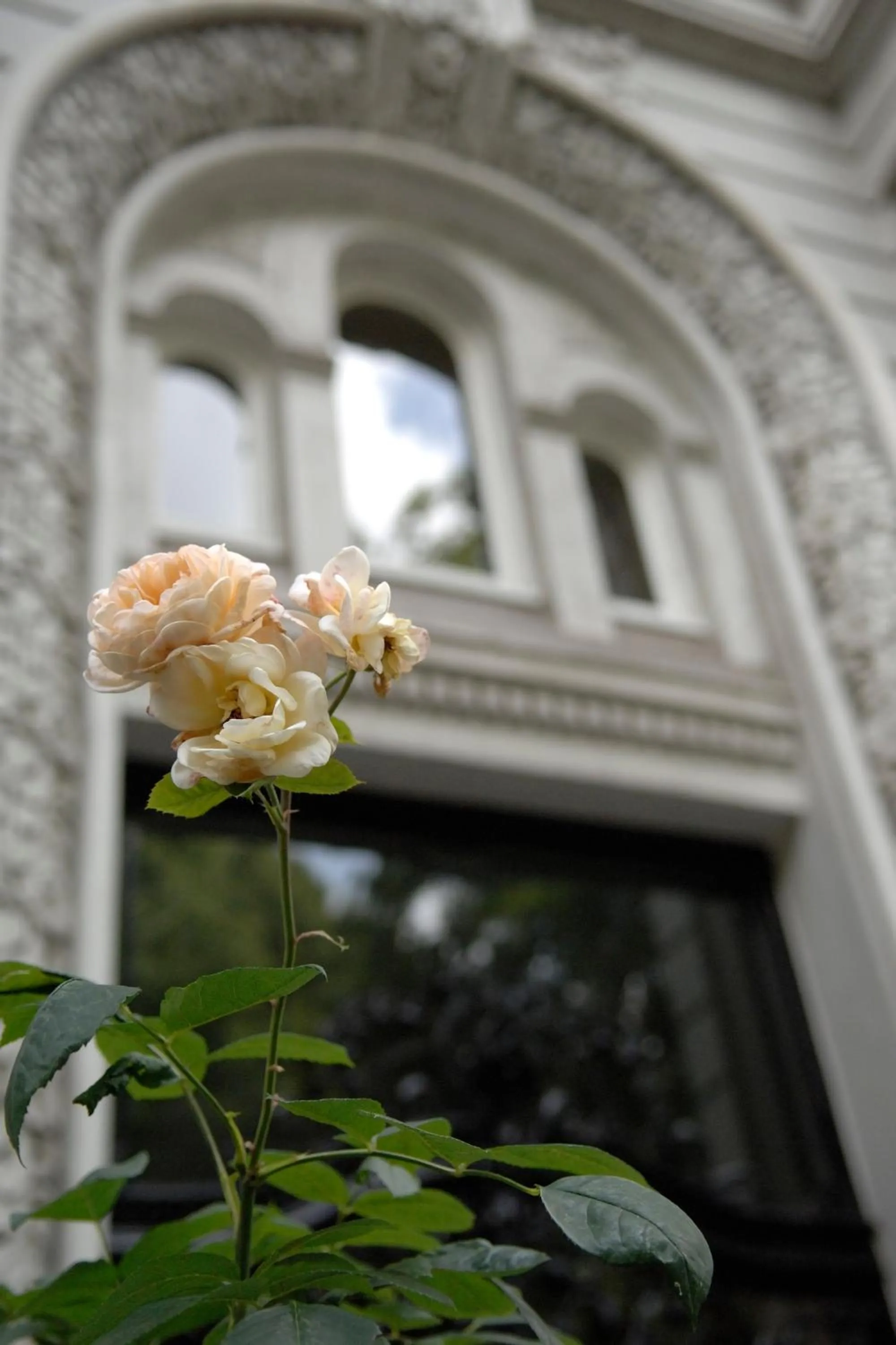 Facade/entrance in Hotel Miramar