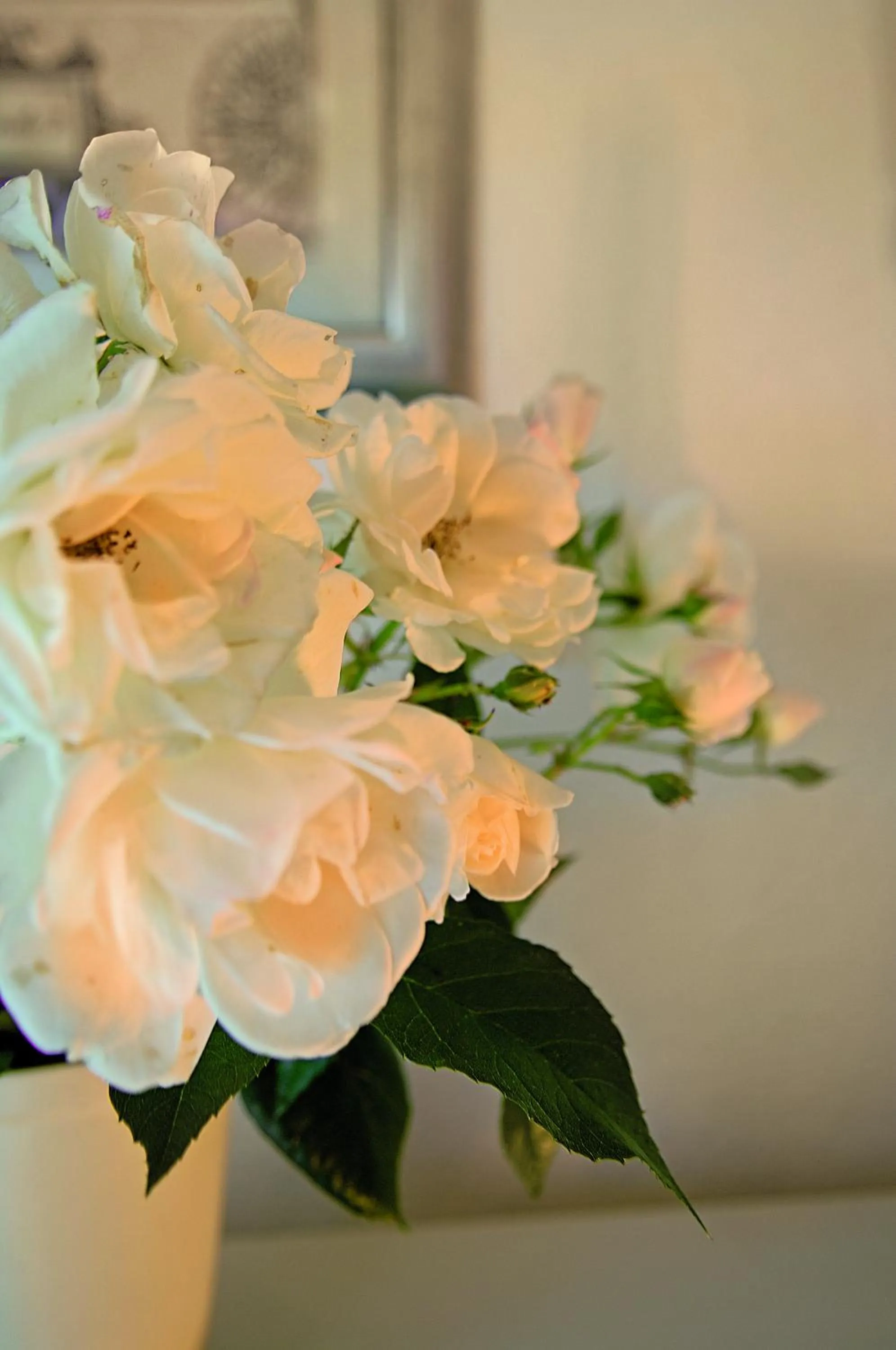 Other in Hotel Miramar