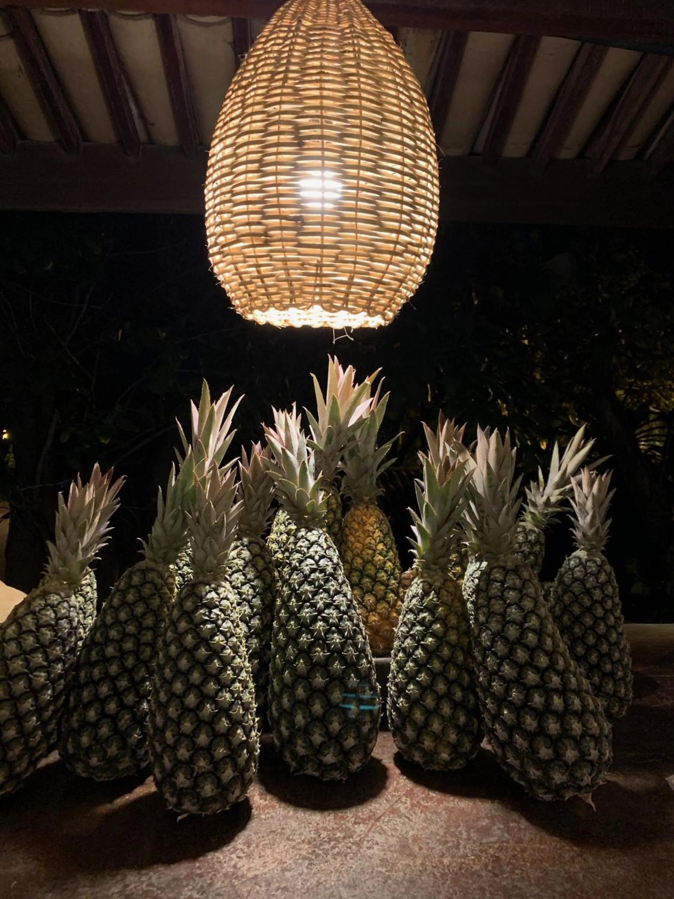 Food in Pousada Tartaruga Boutique Hotel