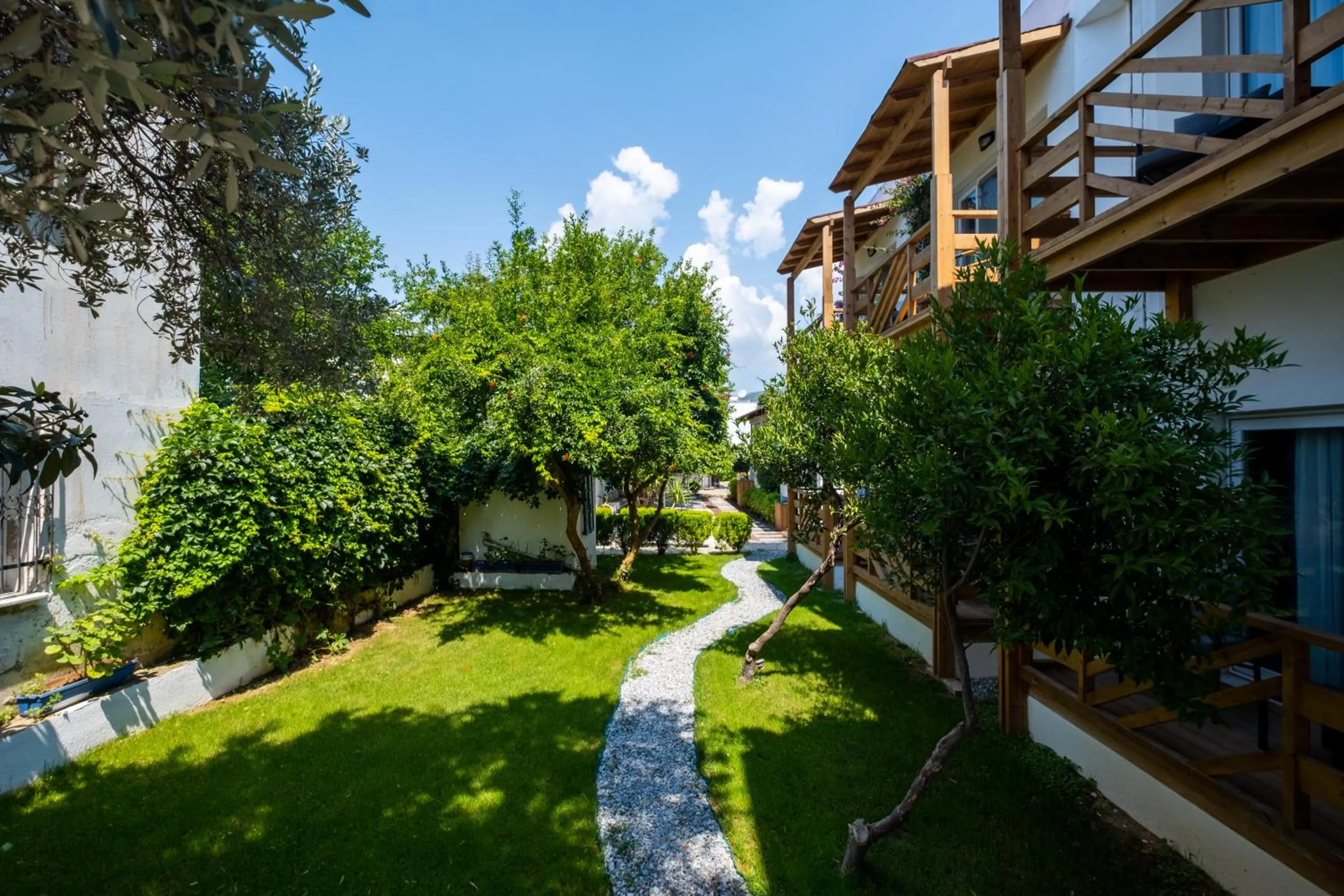 Garden in Costa Bodrum City