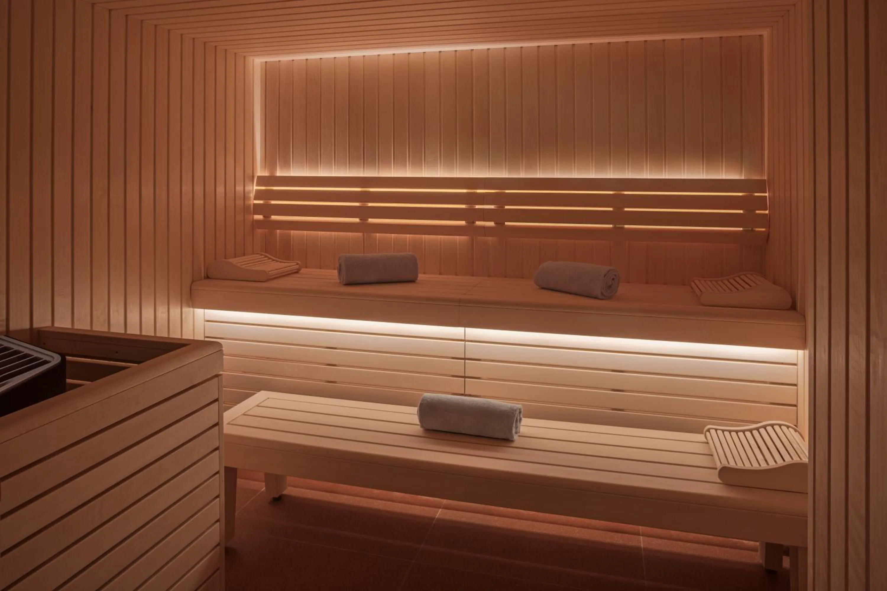 Sauna in DoubleTree by Hilton Lyon Eurexpo