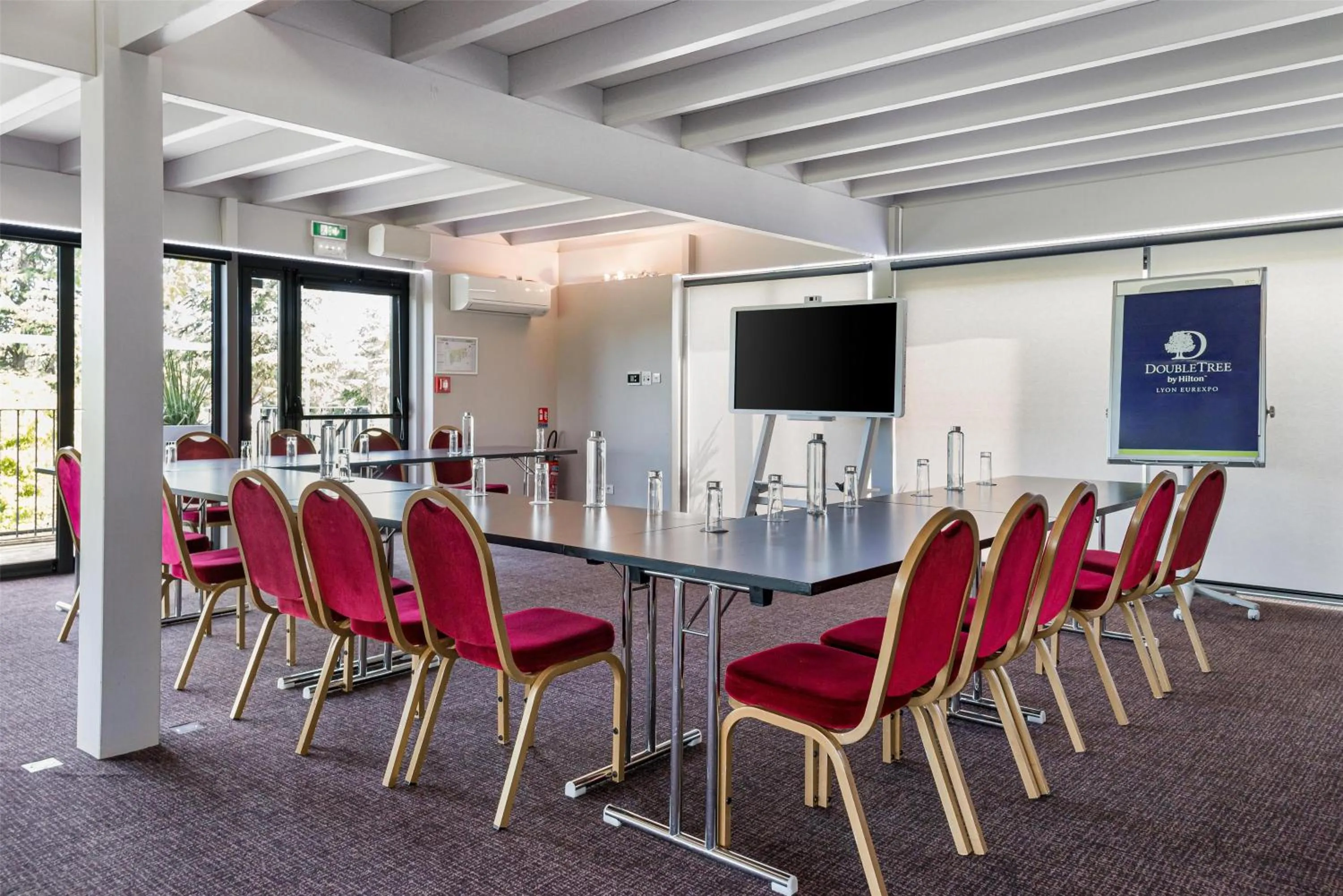 Meeting/conference room in DoubleTree by Hilton Lyon Eurexpo & Spa
