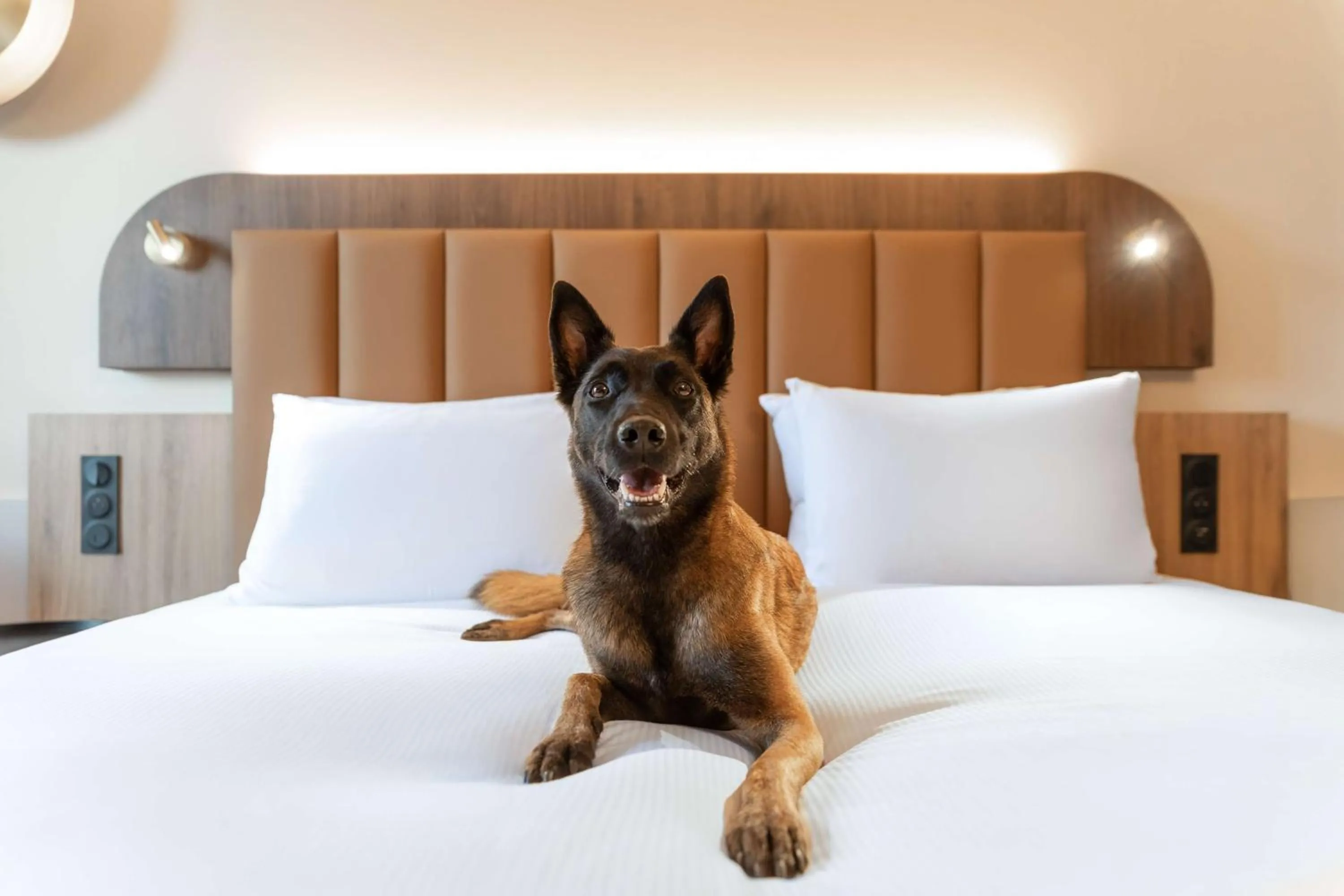 Bed in DoubleTree by Hilton Lyon Eurexpo