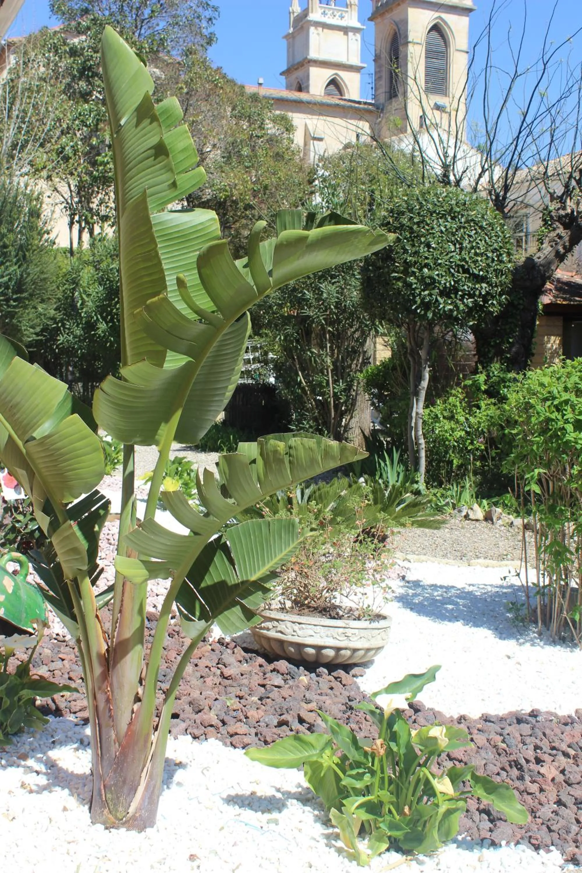 Hotel restaurant MARTINEZ