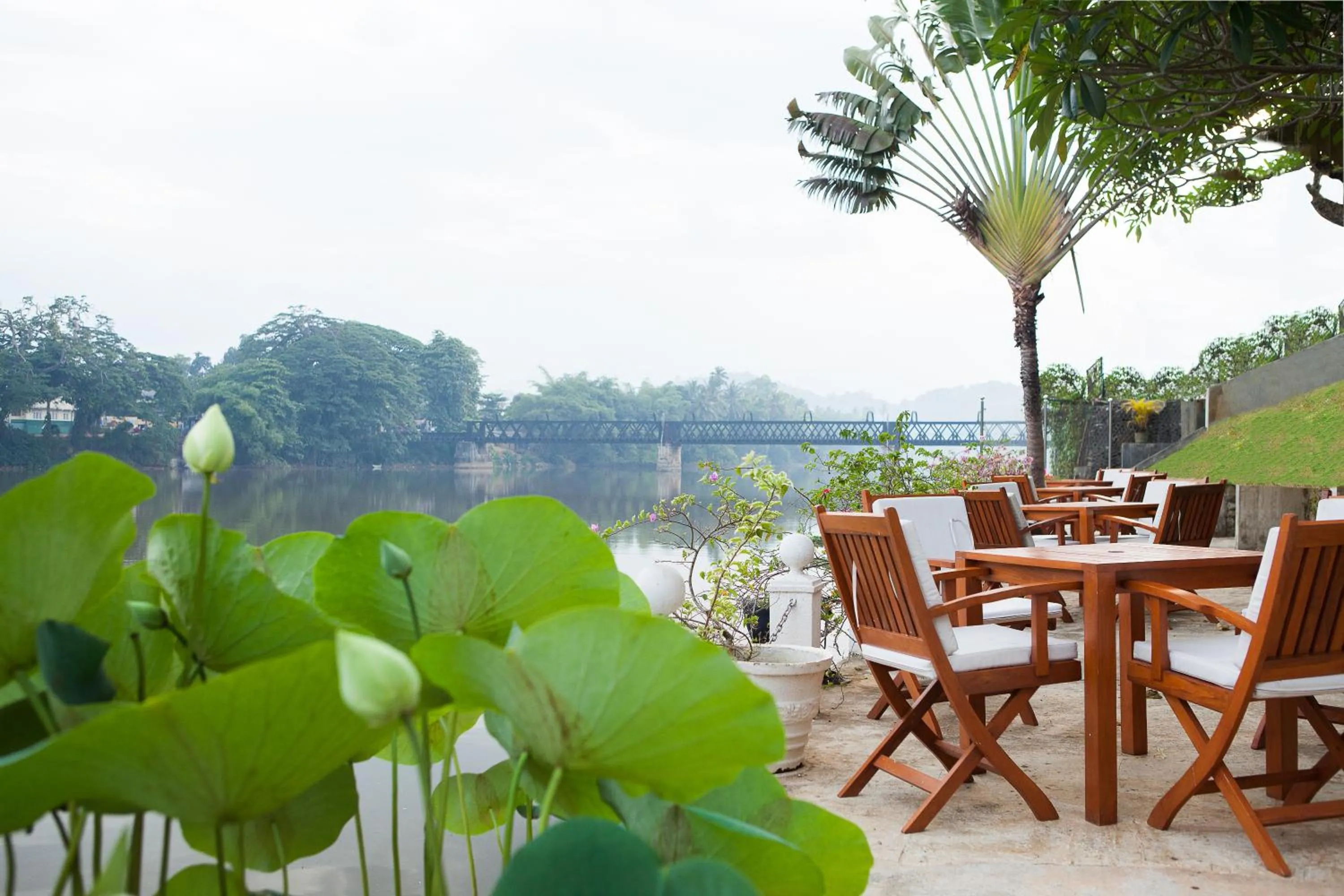 River view in Mahaweli Reach Hotel