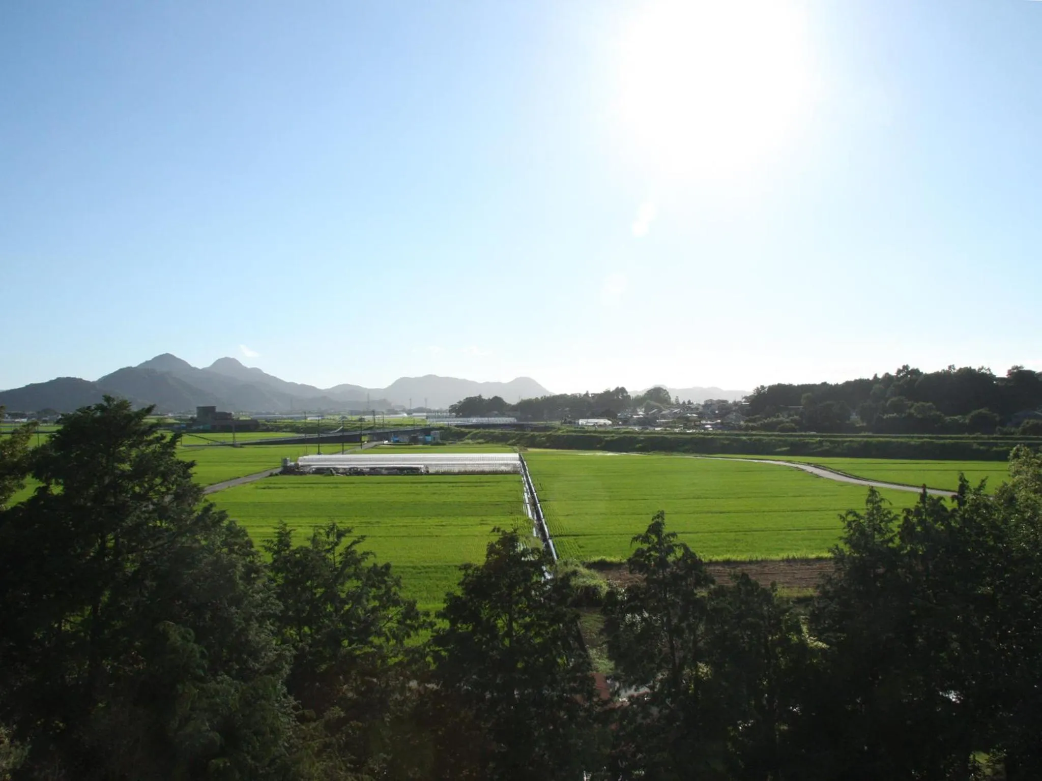 Neighbourhood in Izu Daisenya