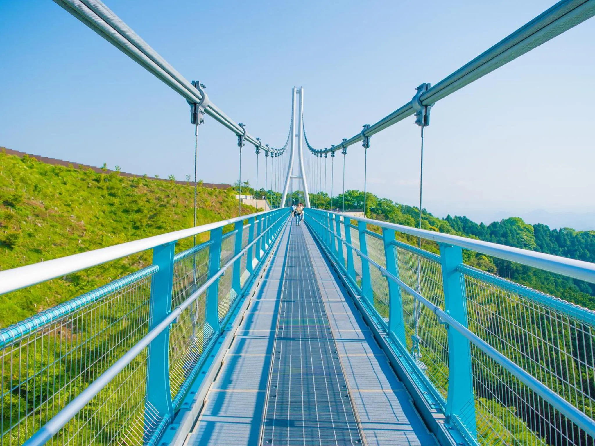 Nearby landmark in Izu Daisenya