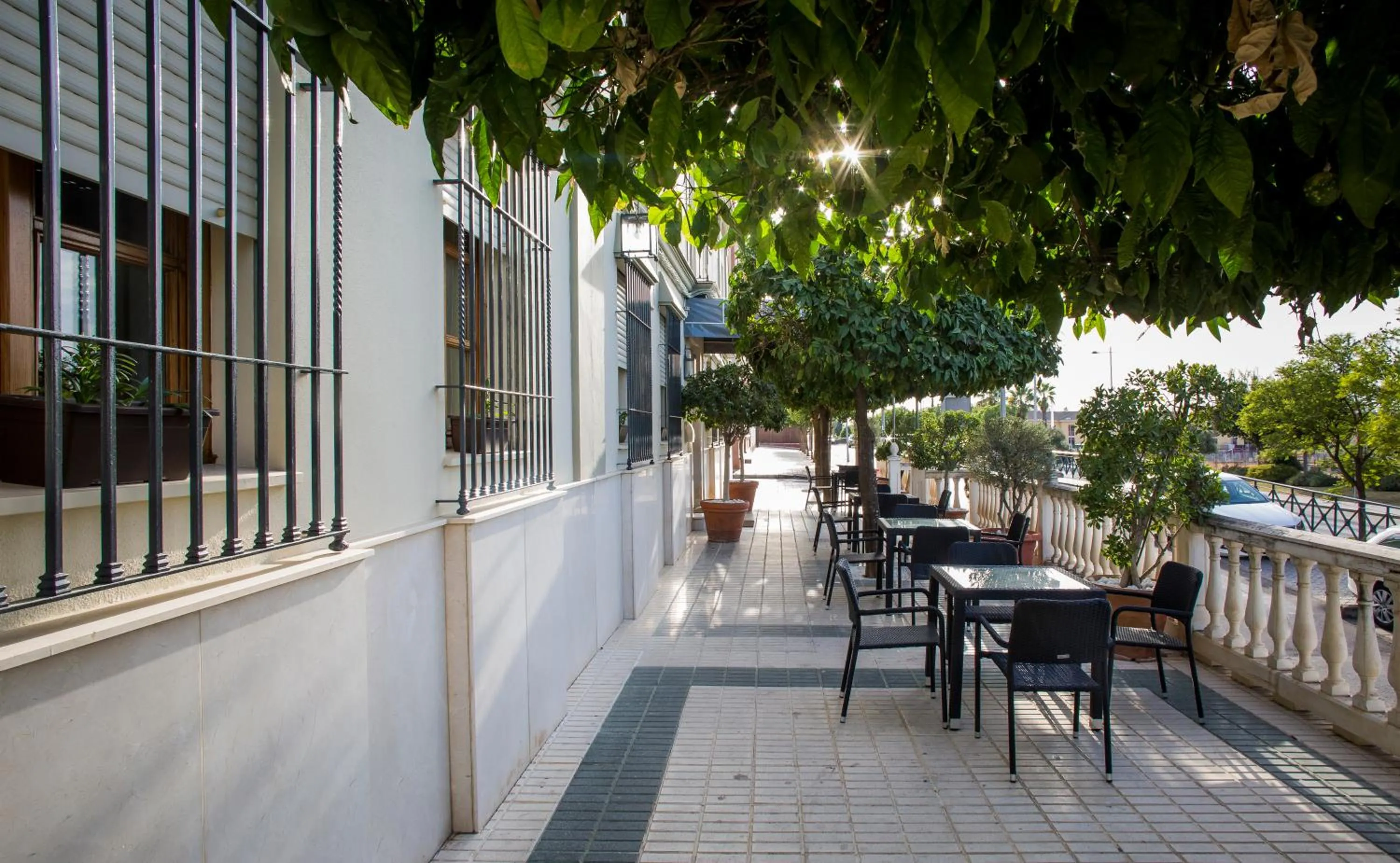 Balcony/Terrace in Hotel Mairena