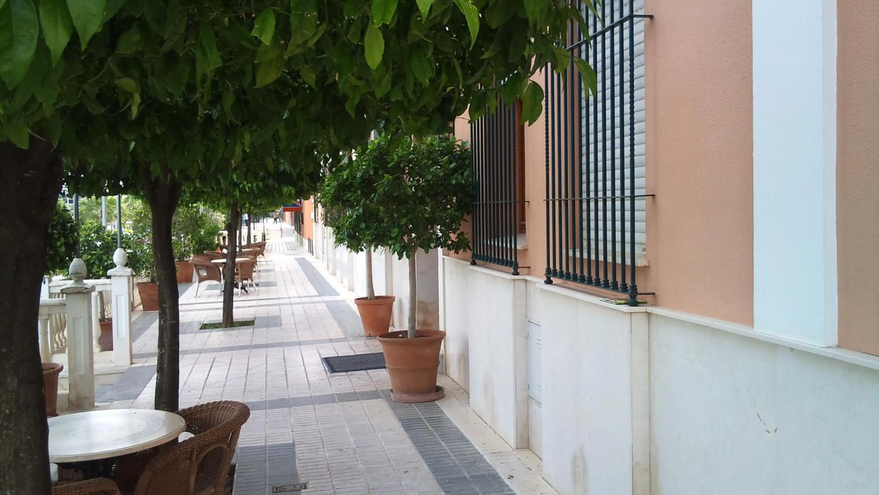 Balcony/Terrace in Hotel Mairena