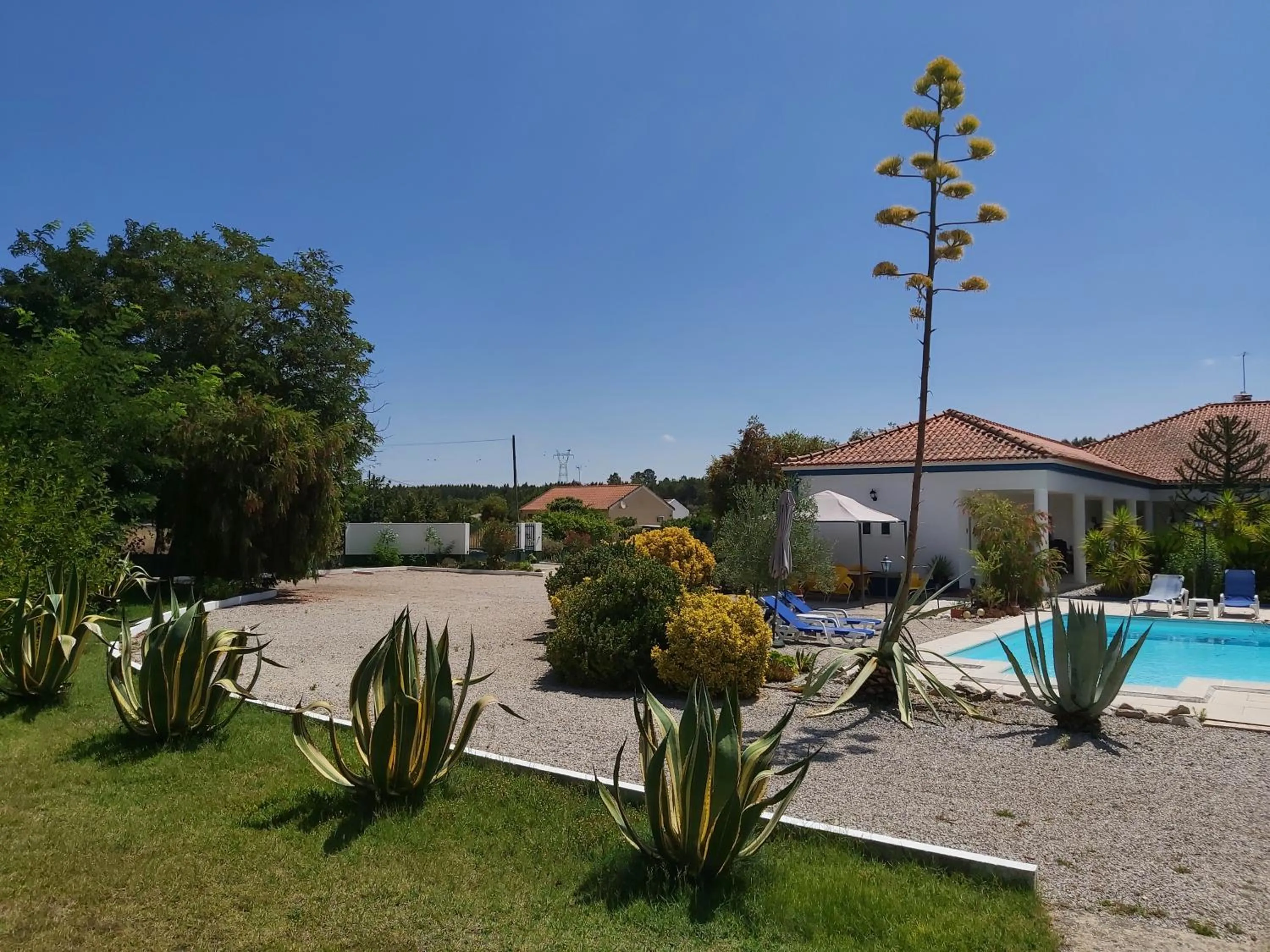 Garden in Casa Zanzibar Hotel
