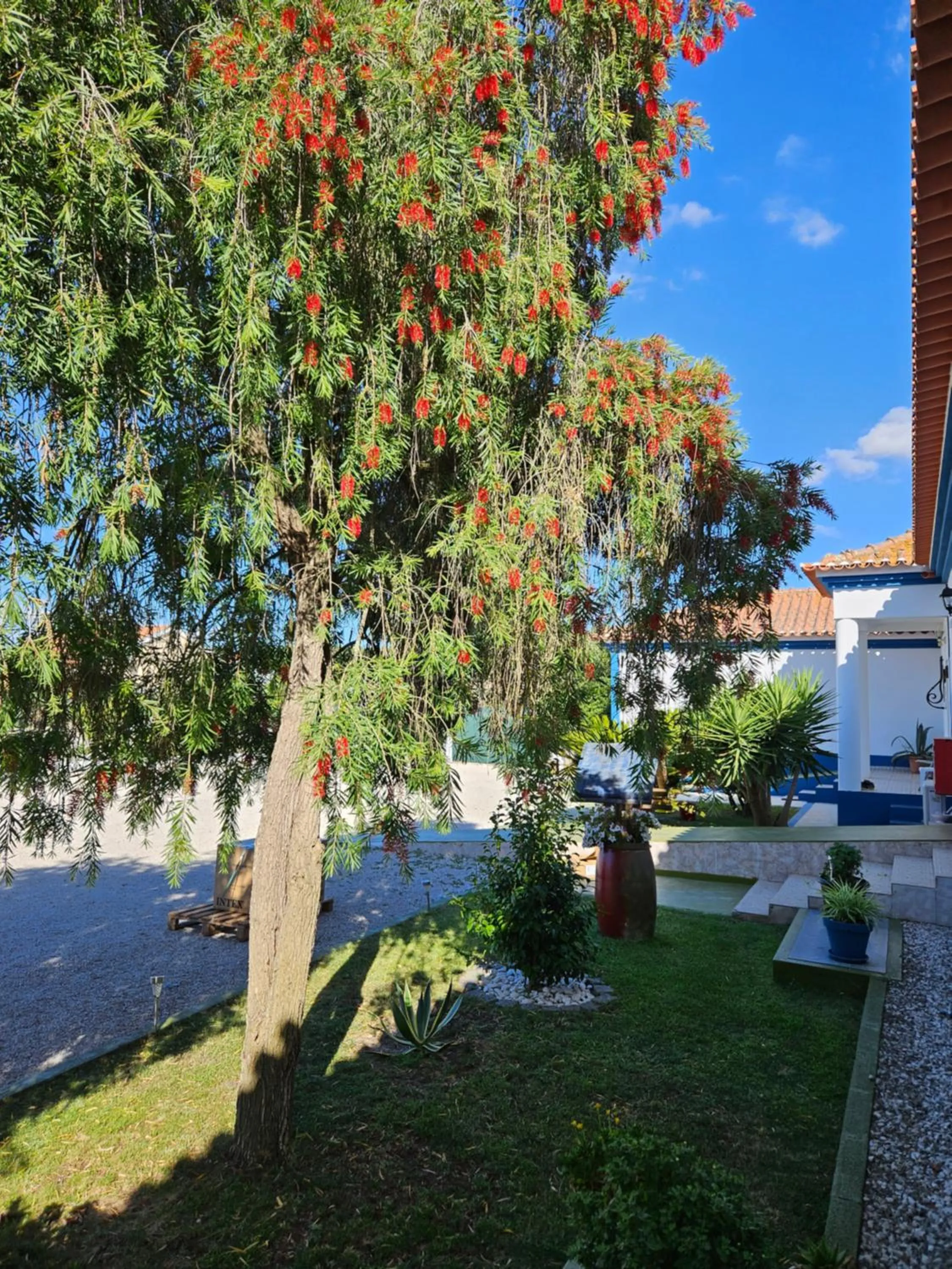Garden in Casa Zanzibar Hotel