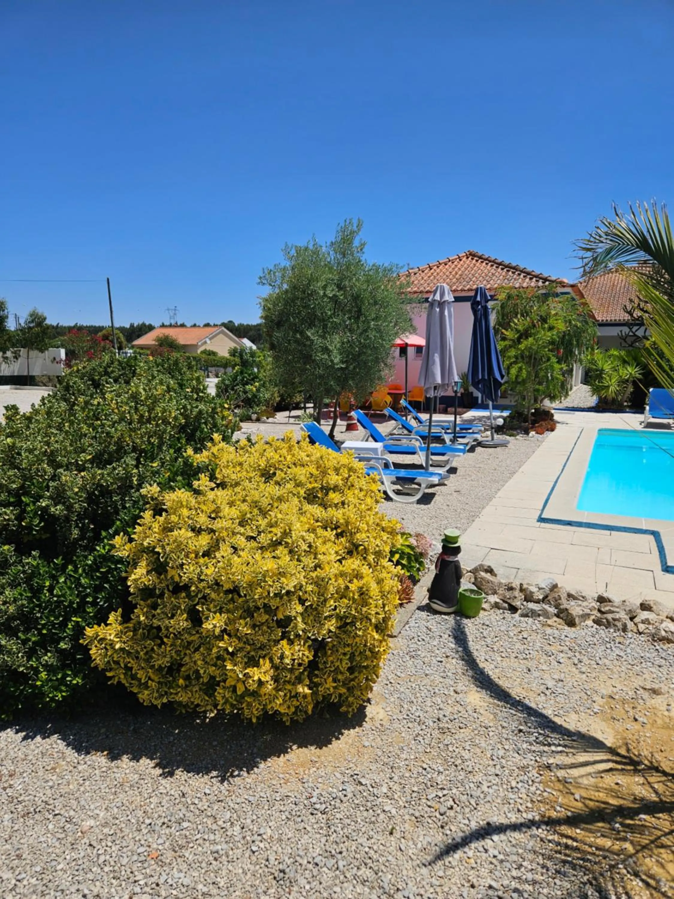 Garden in Casa Zanzibar Hotel