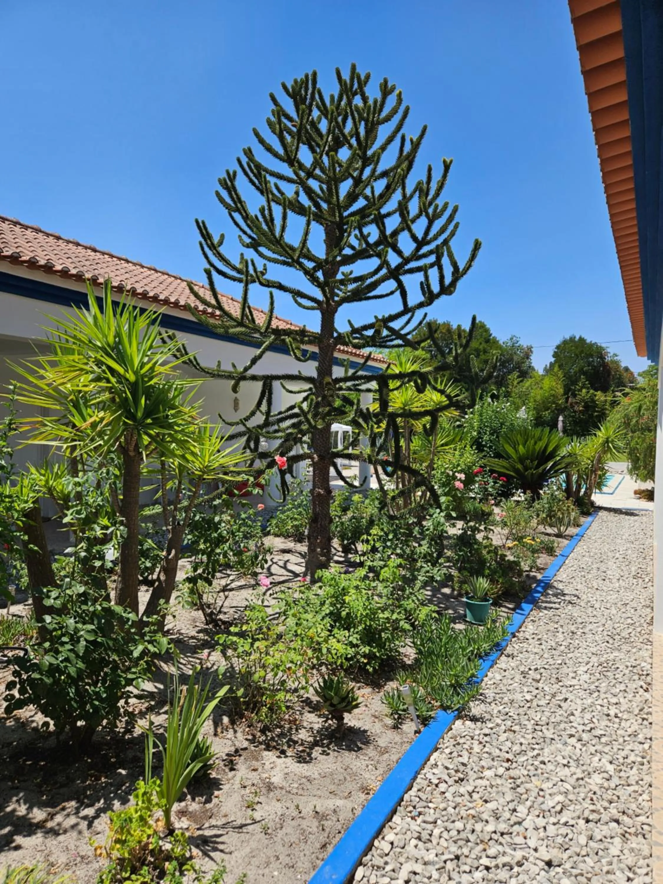 Garden in Casa Zanzibar Hotel