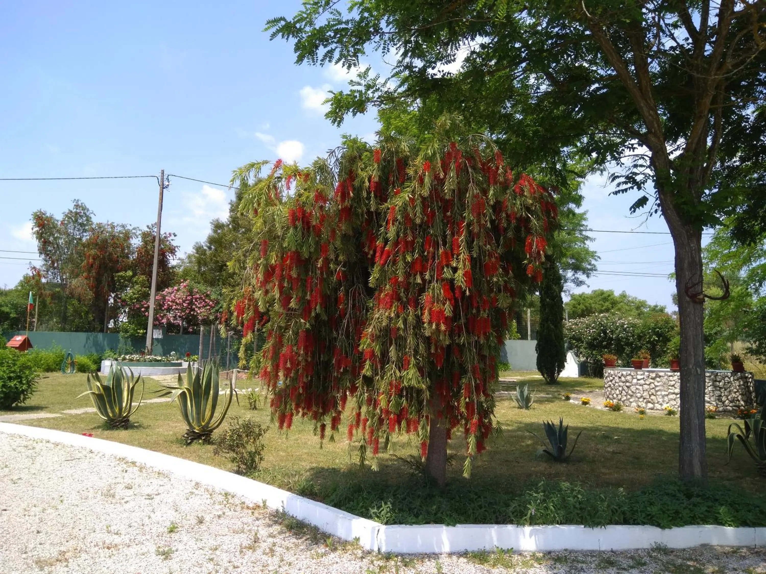 Garden view in Casa Zanzibar Hotel