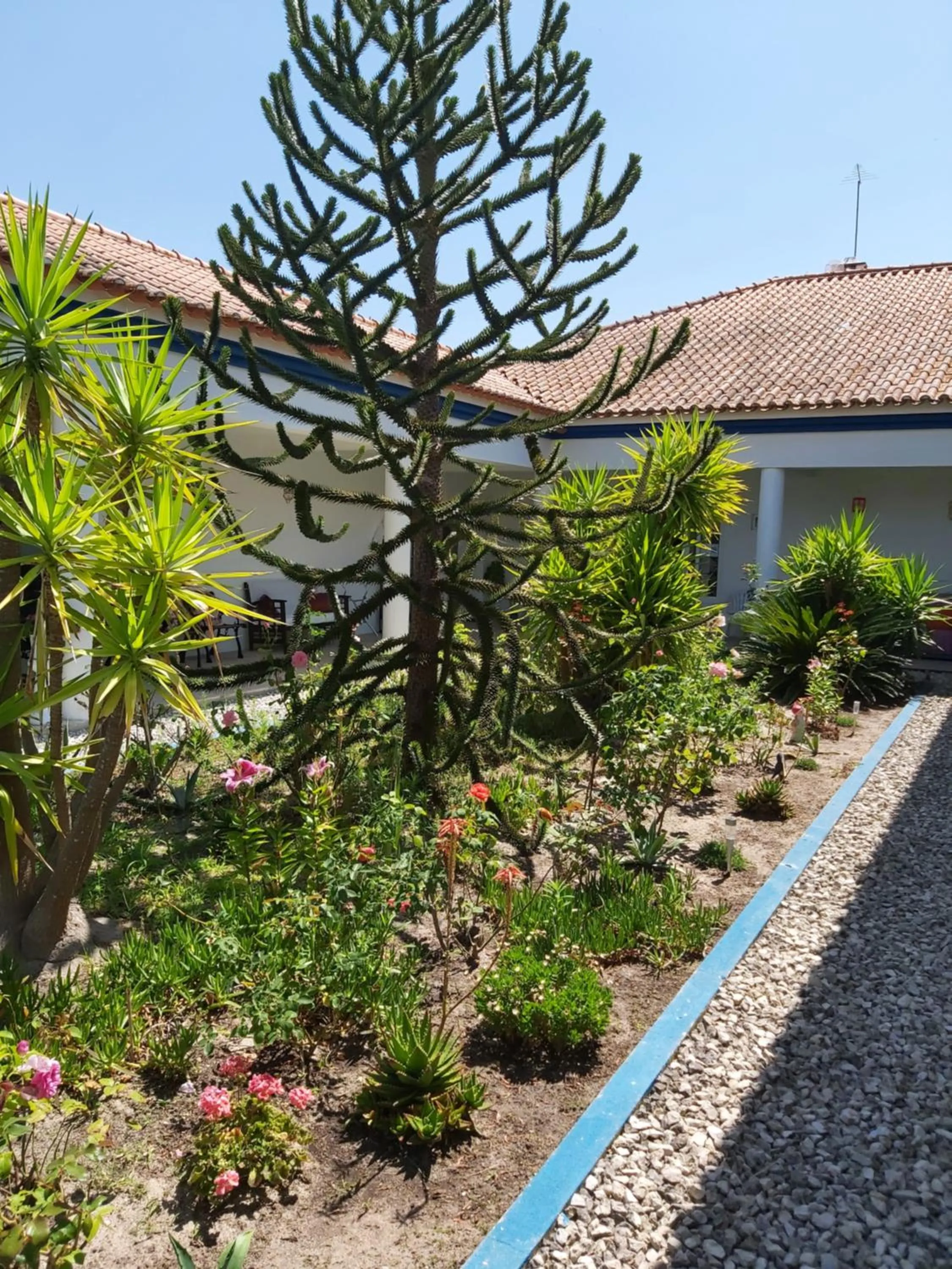 Garden in Casa Zanzibar Hotel