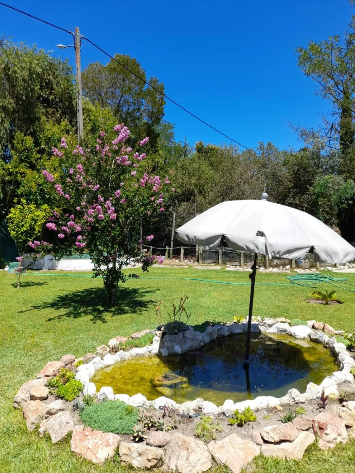 Garden in Casa Zanzibar Hotel