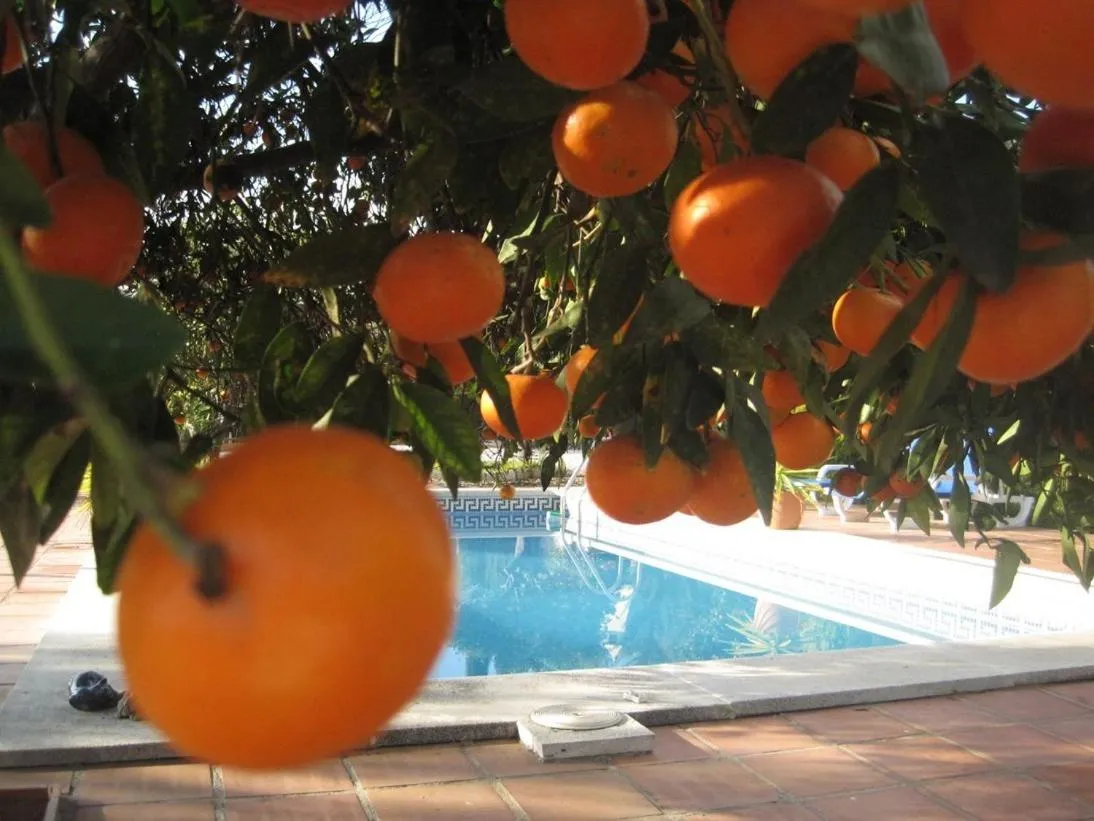 Swimming pool in Escuela La Crujía