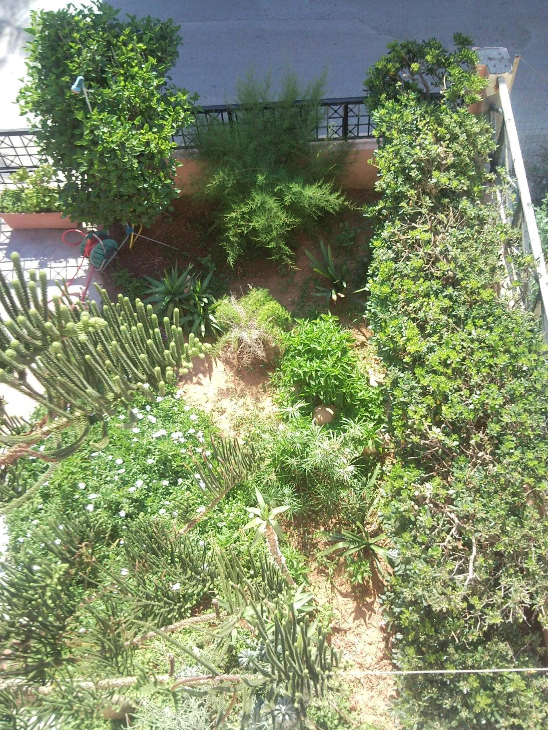 Day in Stella Apartments