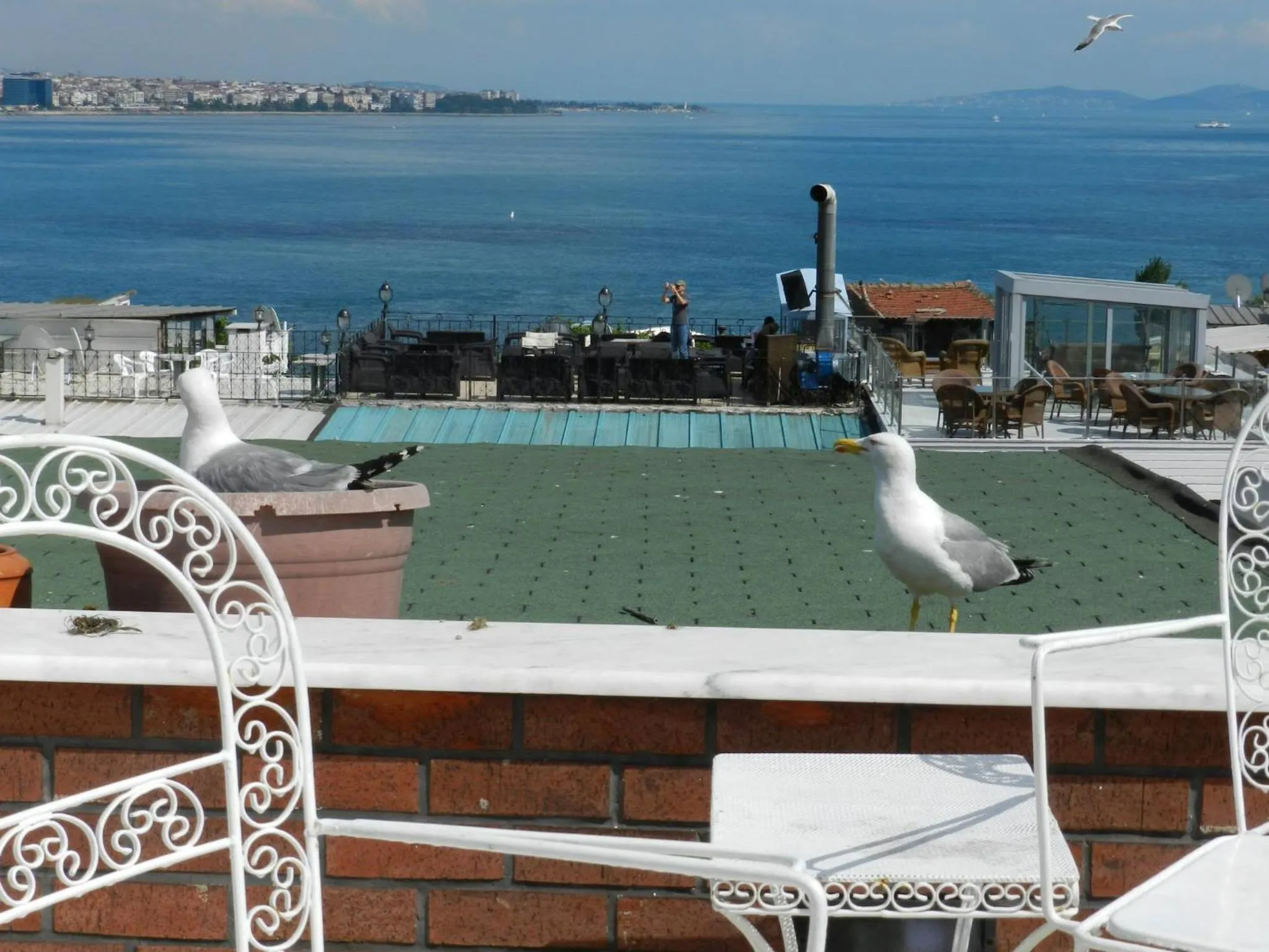 Balcony/Terrace in Berk Guest House - Grandma's House