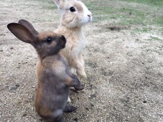 Green Sky Hotel Takehara