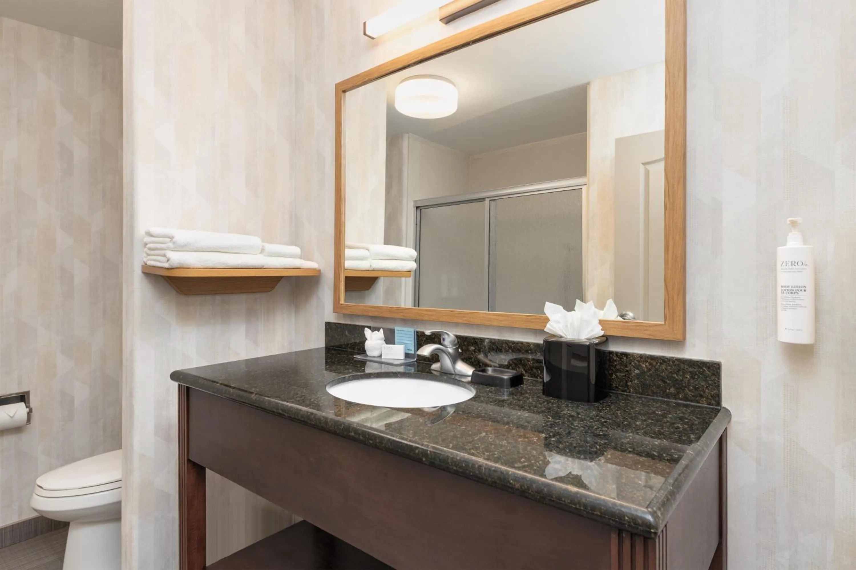 Bathroom in Hampton Inn and Suites Houston Pasadena