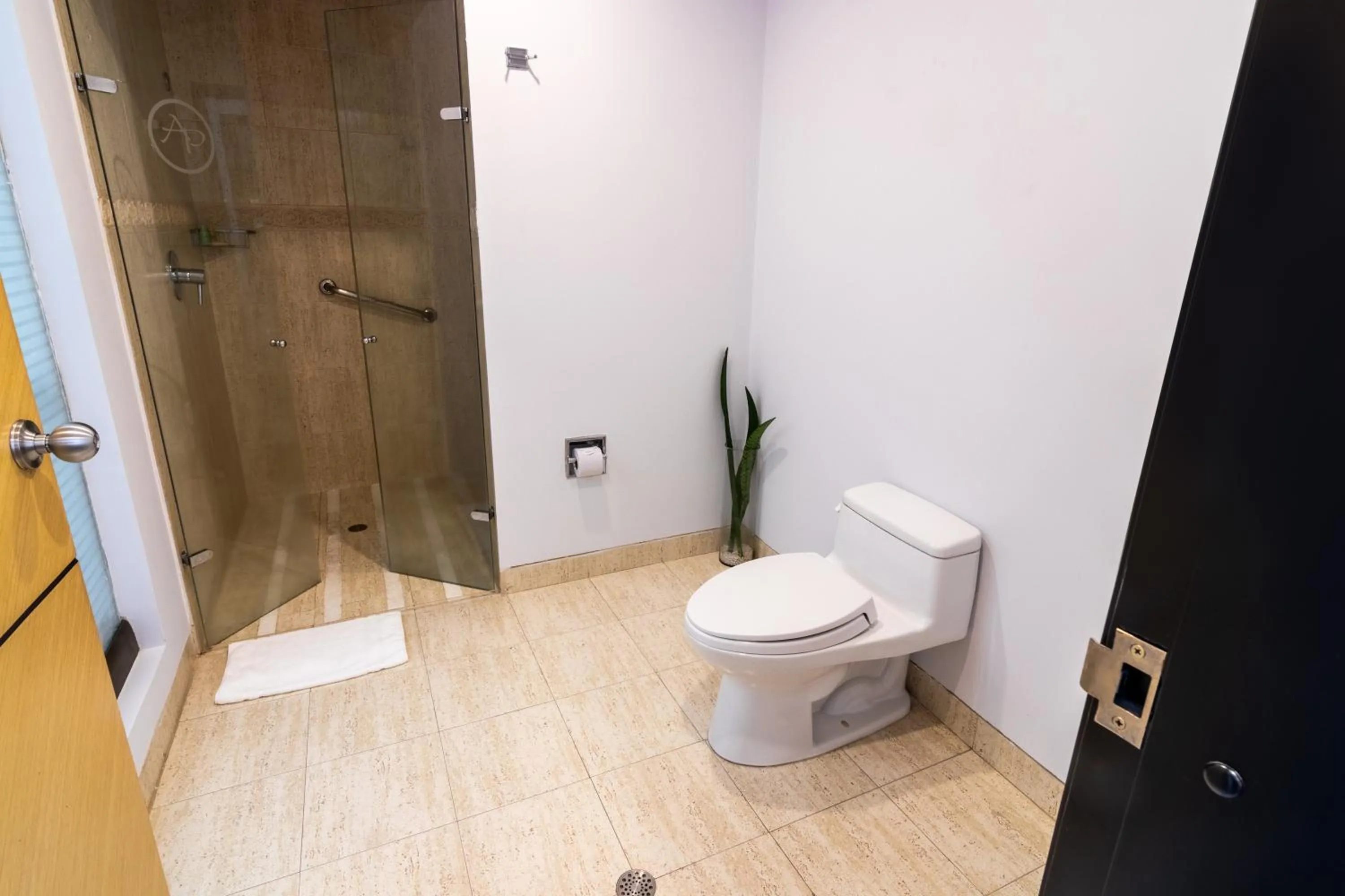 Shower in GHL Hotel Abadia Plaza