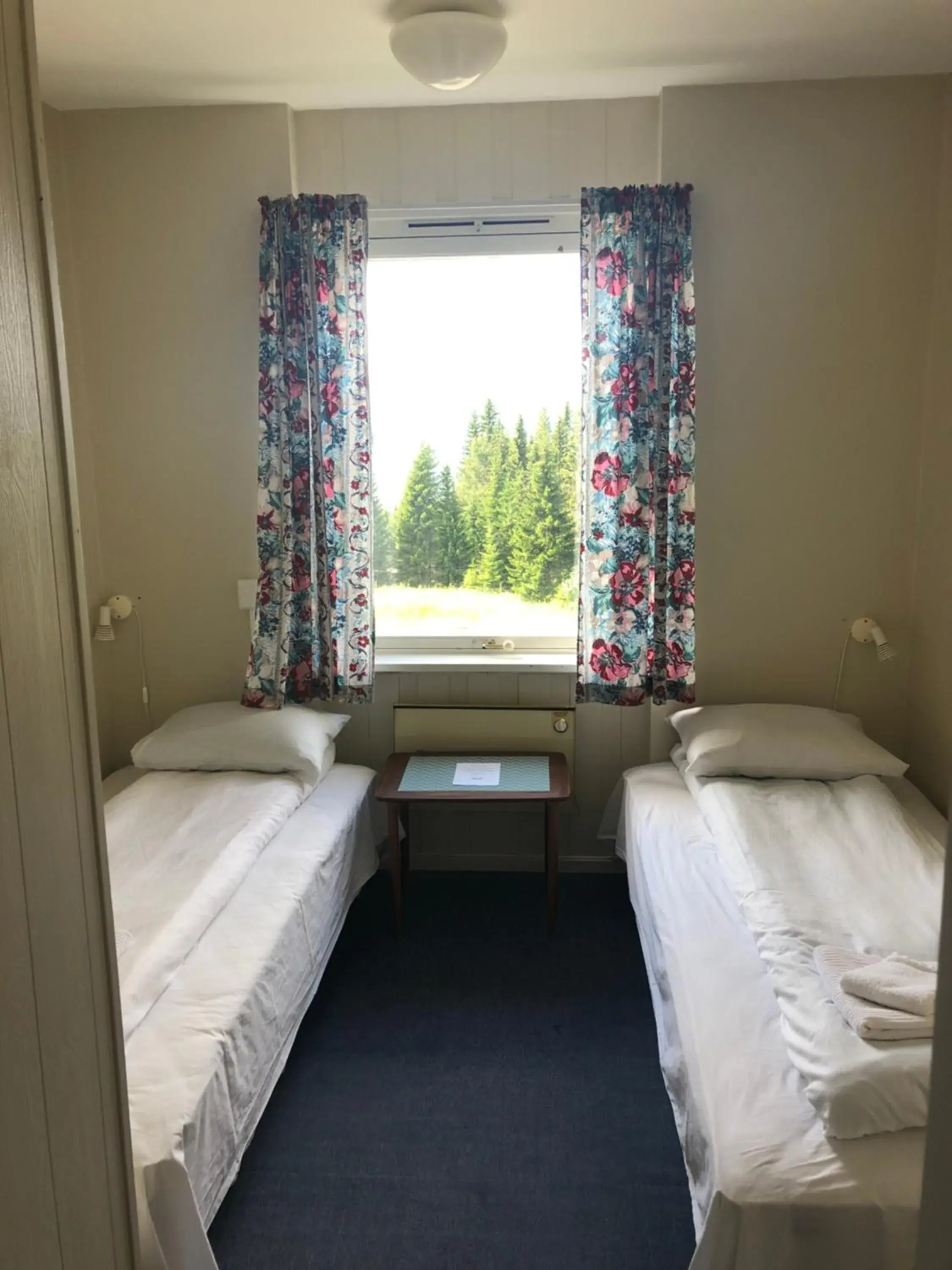 Standard Double Room in Tronsvangen Seter Standard Double Room in Tronsvangen Seter