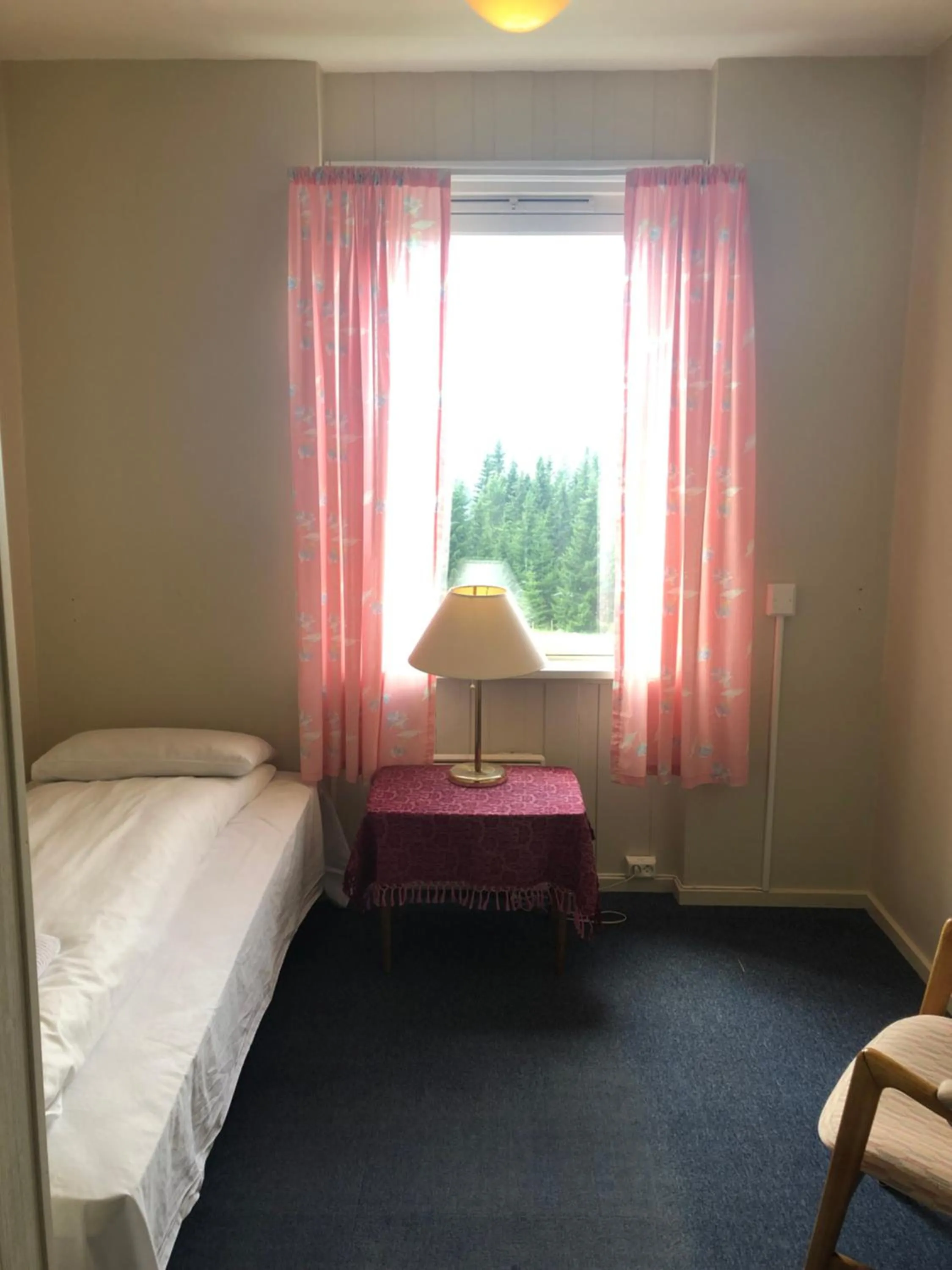 Bed in Tronsvangen Seter