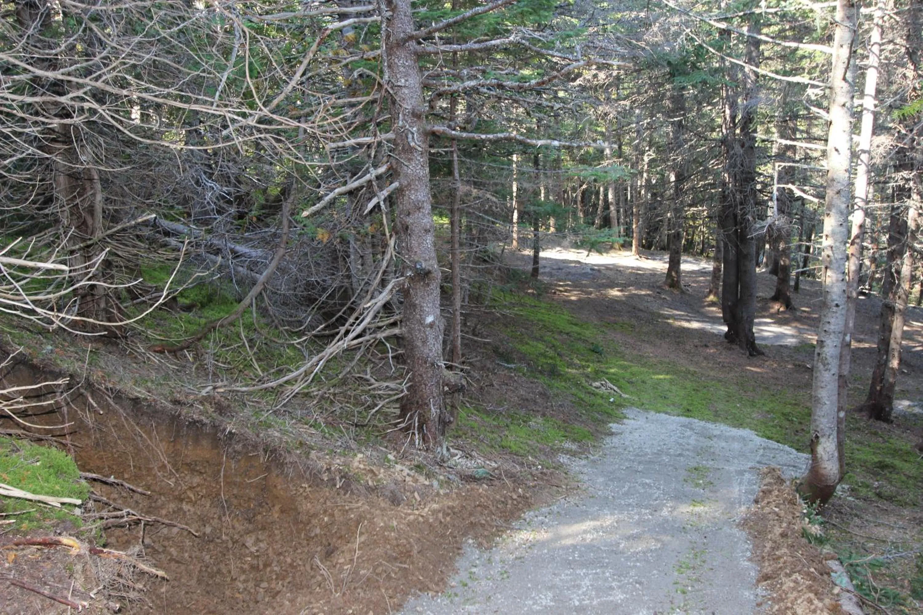 Natural landscape in Chalets Nature Océan