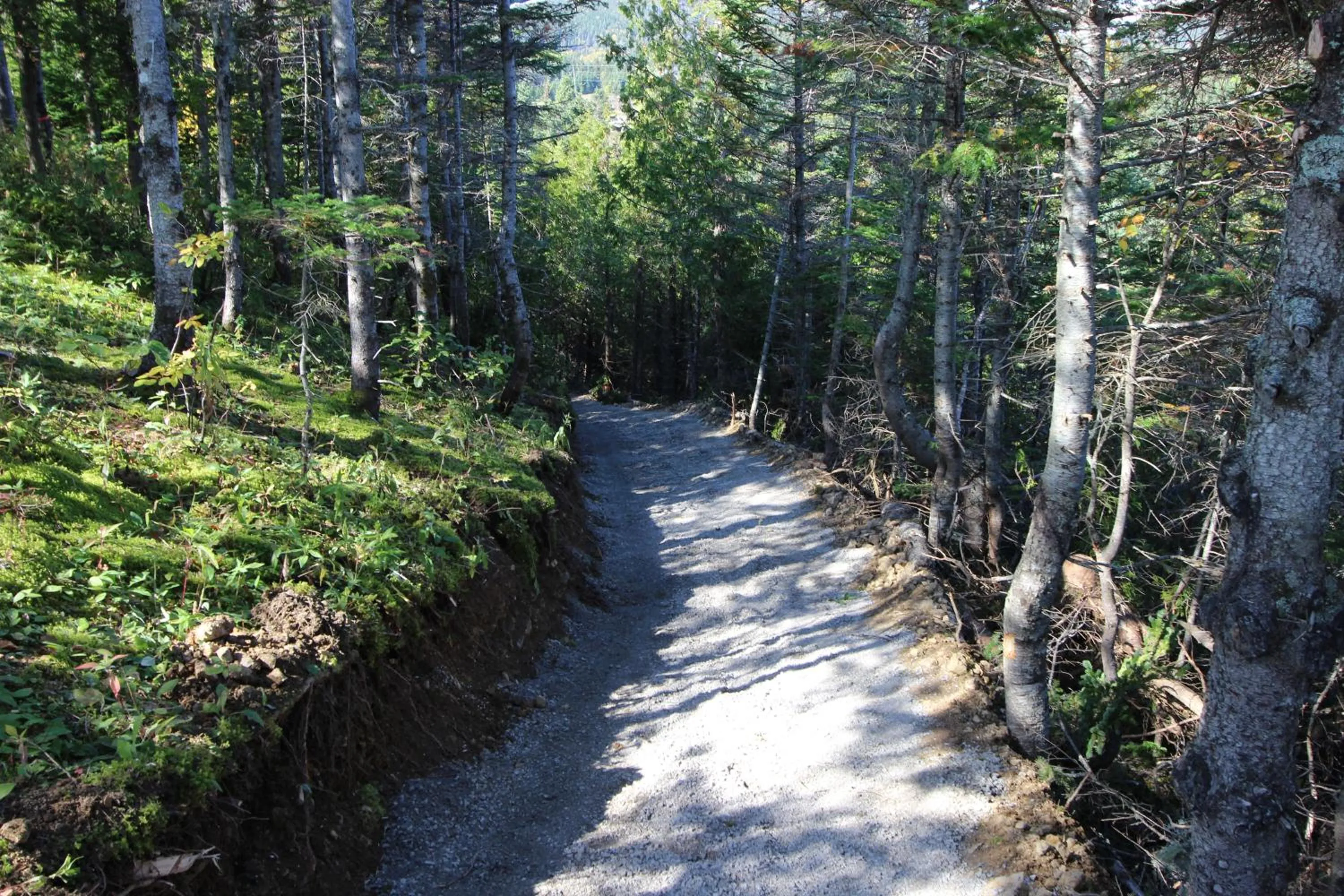 Hiking in Chalets Nature Océan
